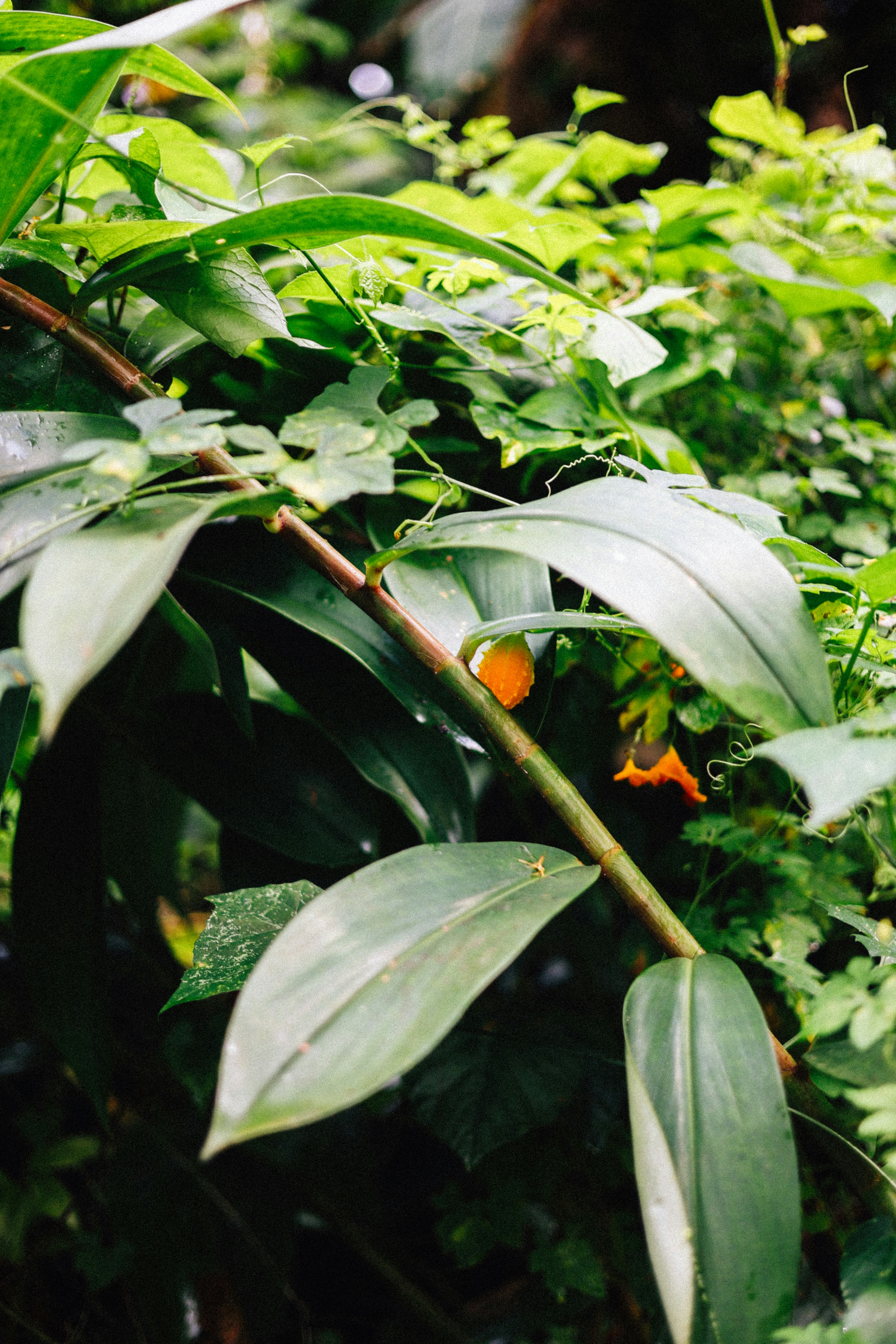 Photo by brookebalentine