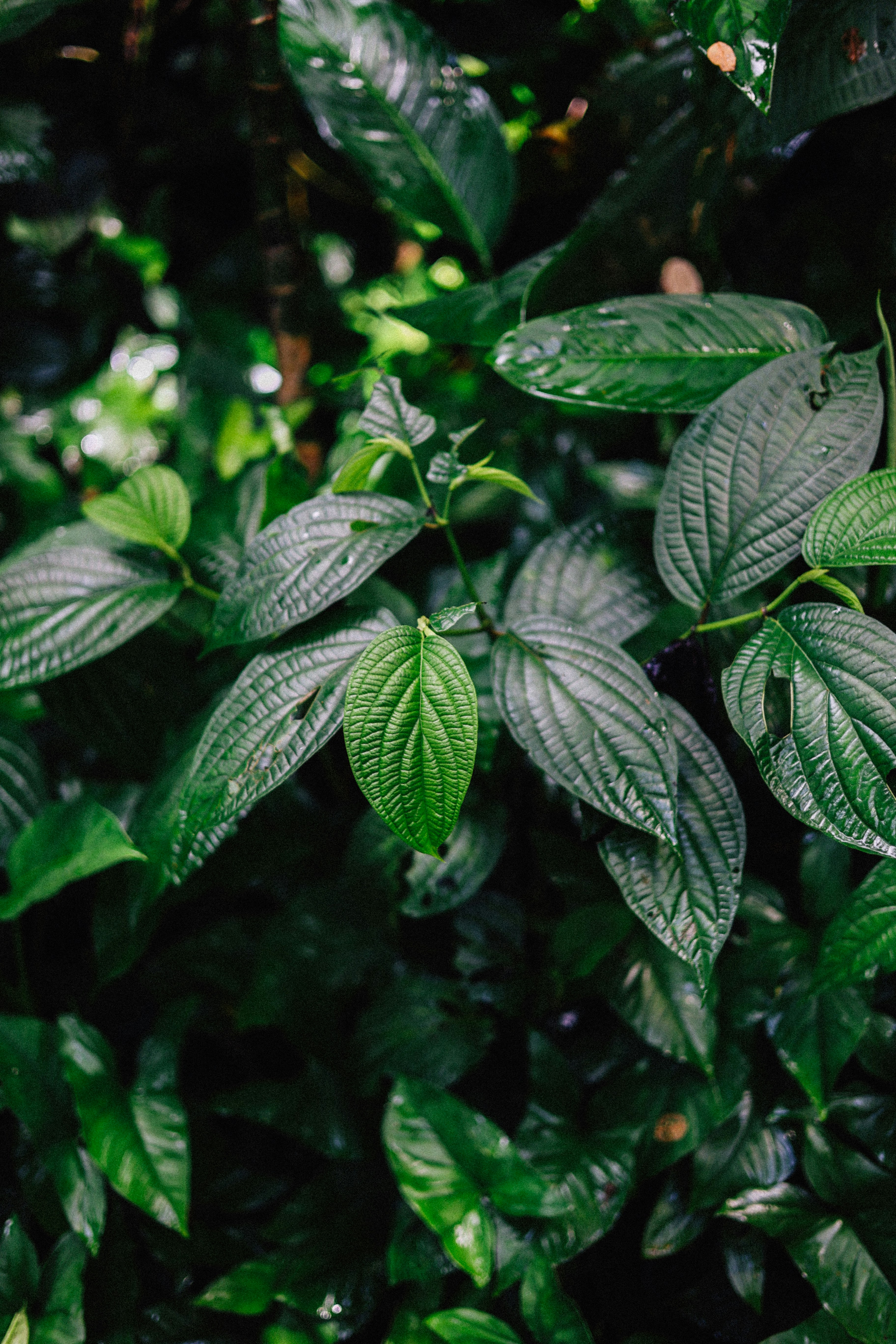 Photo by brookebalentine