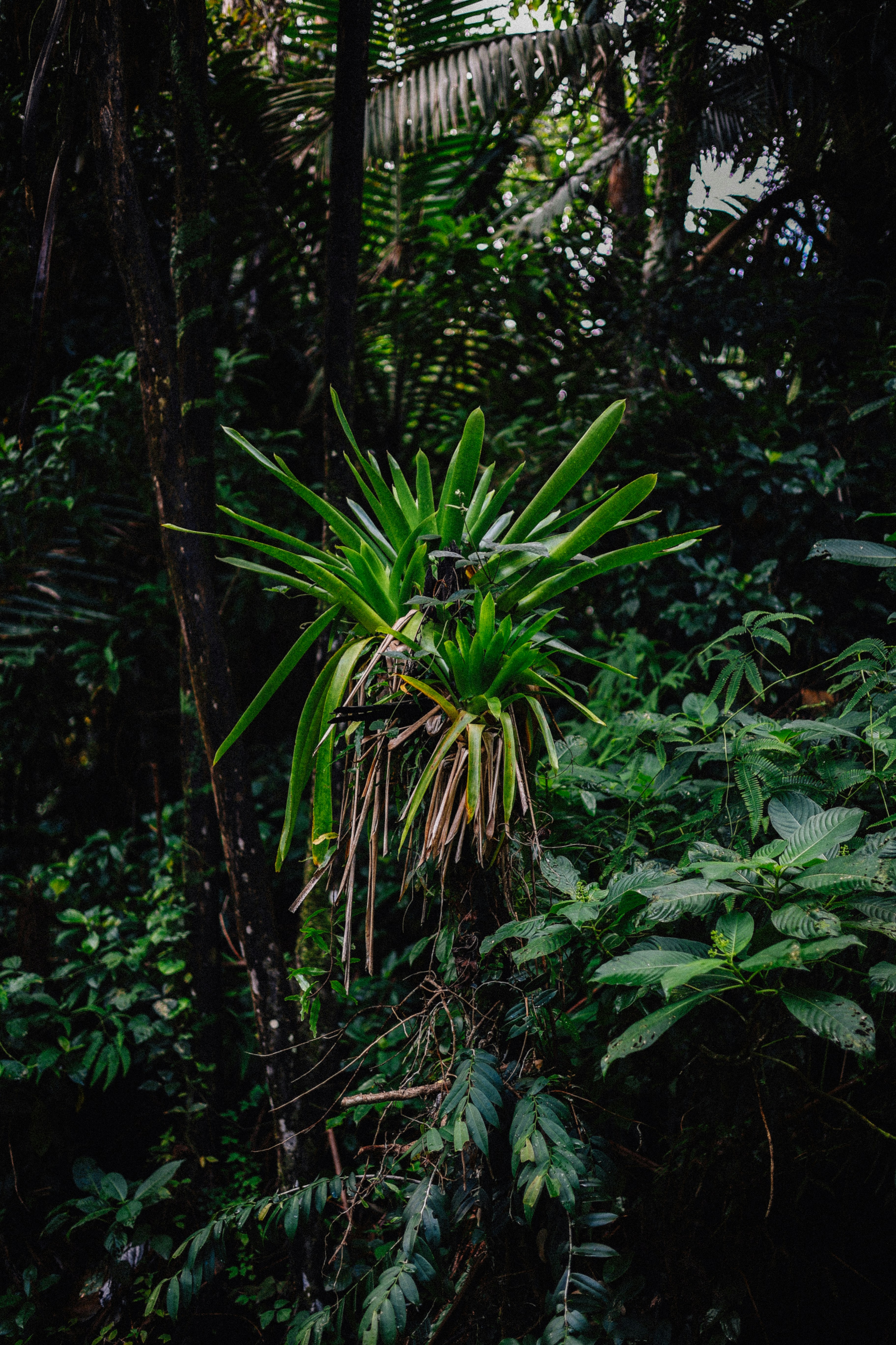 Photo by brookebalentine