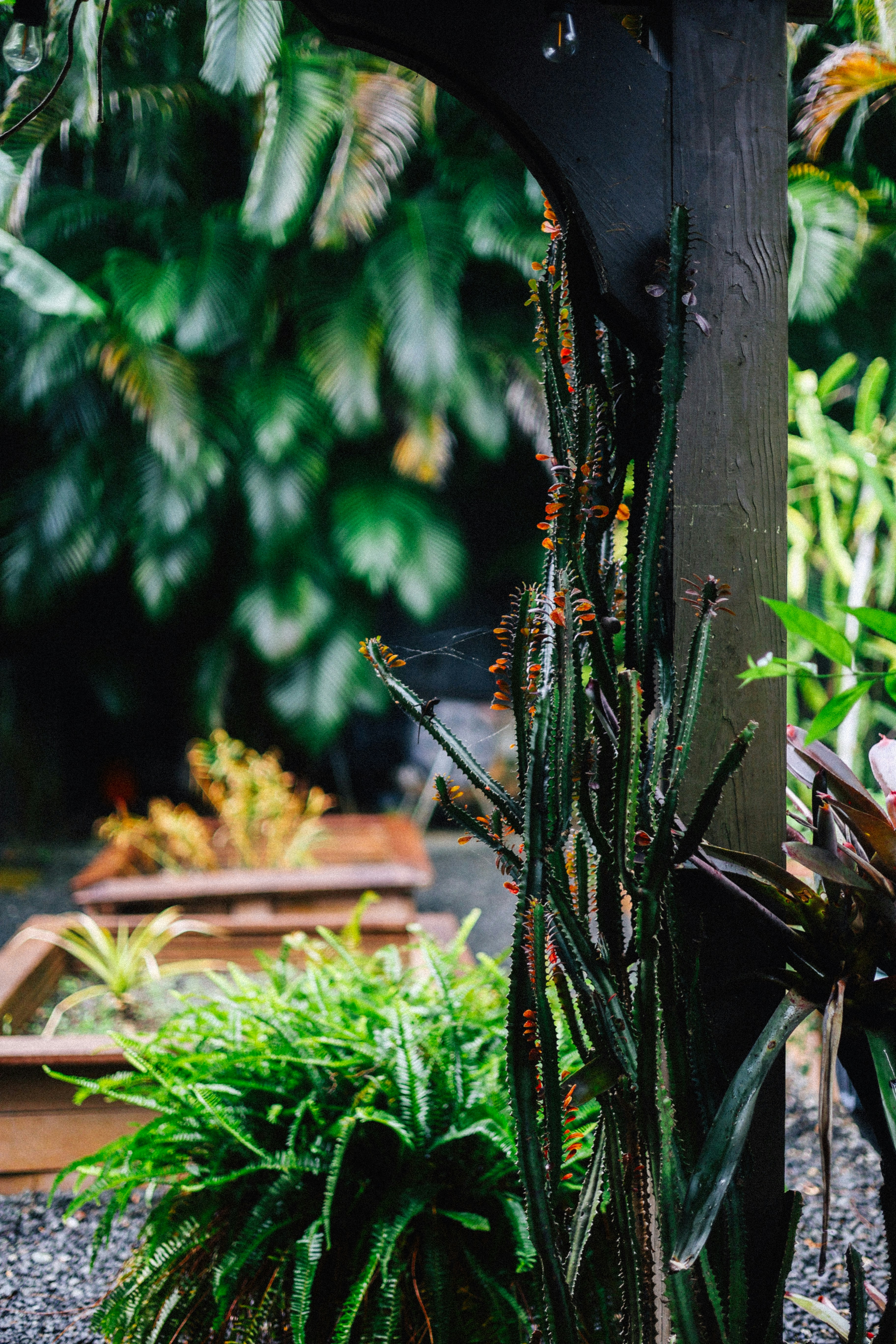 Photo by brookebalentine