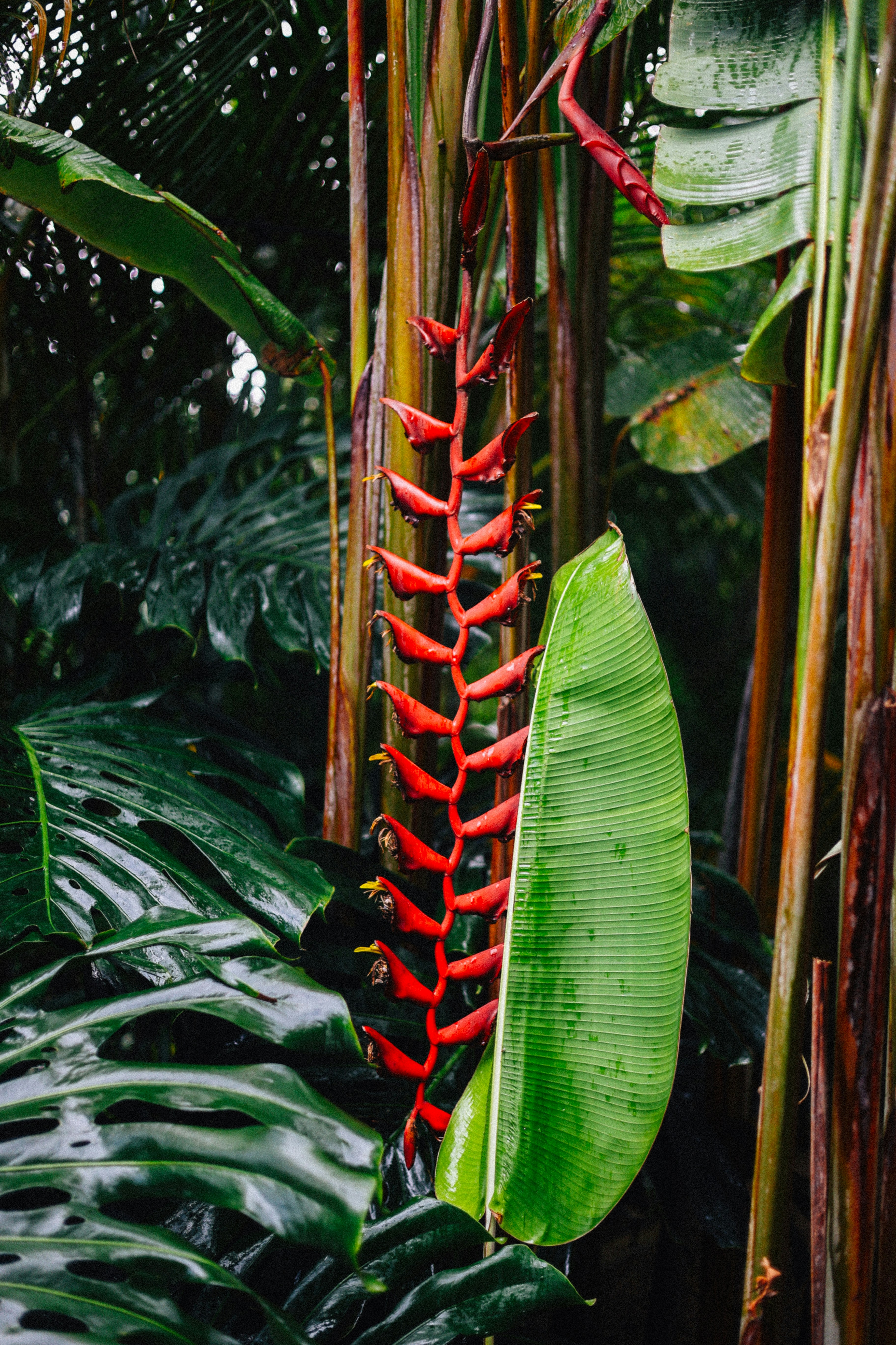 Photo by brookebalentine