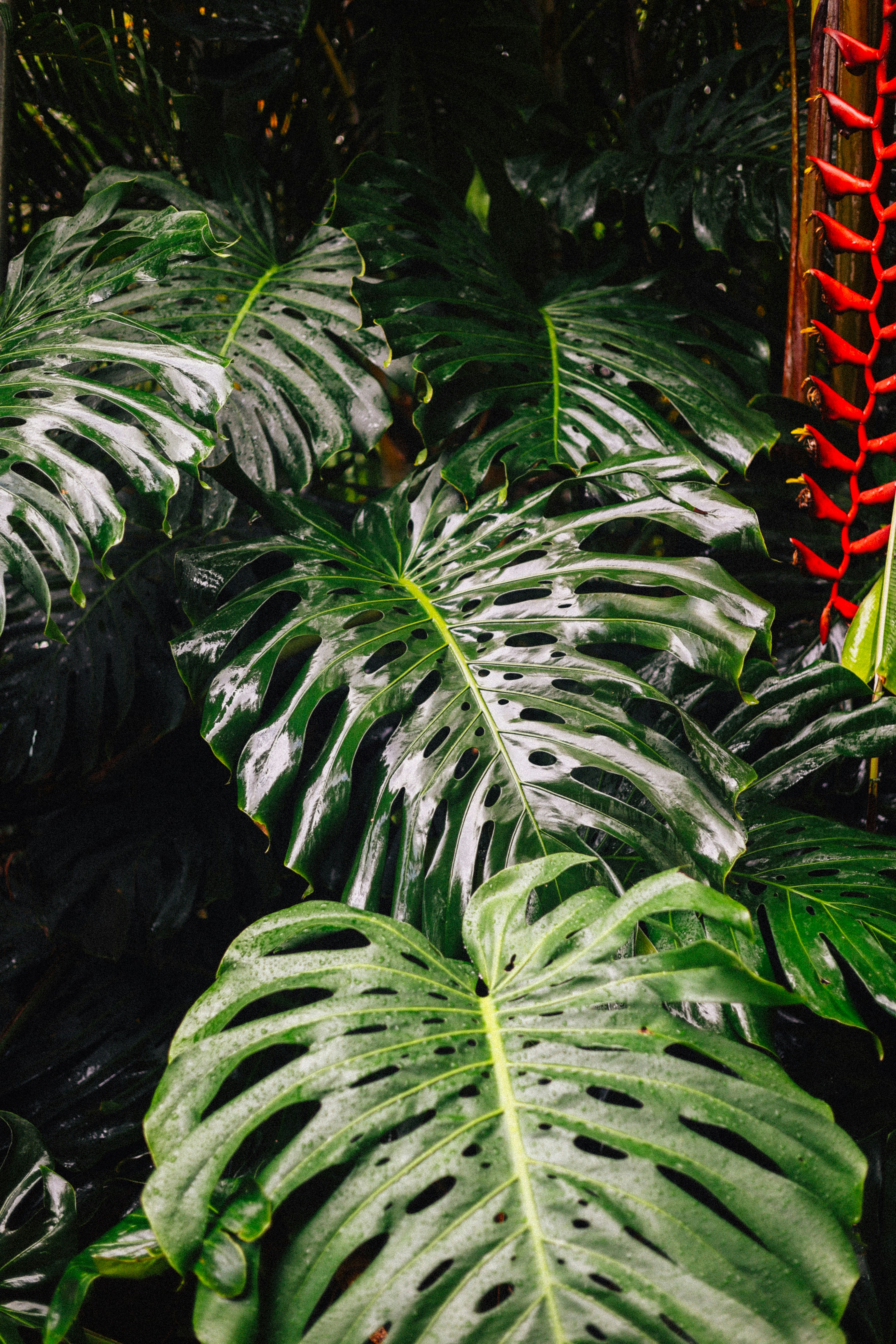 Photo by brookebalentine