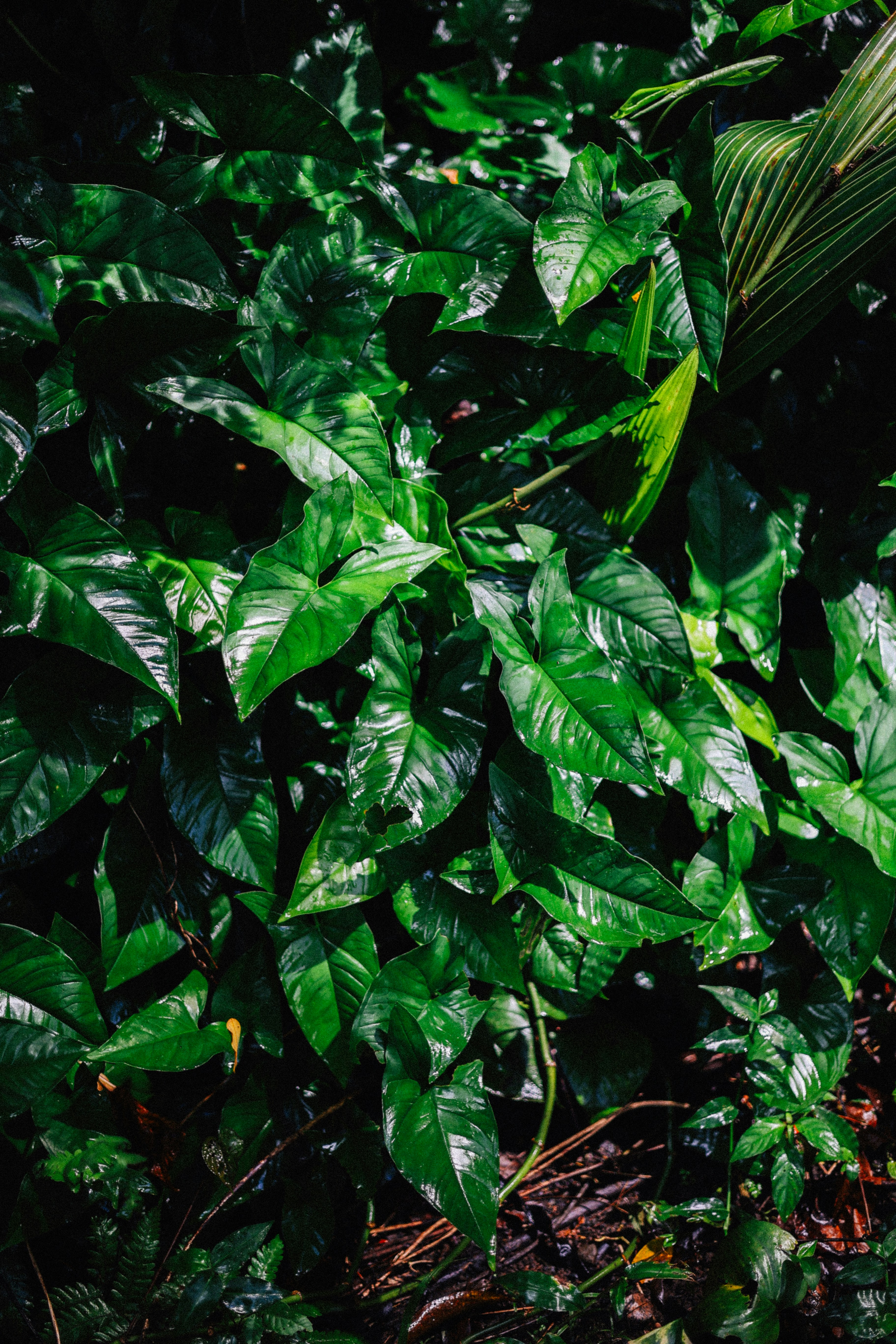 Photo by brookebalentine