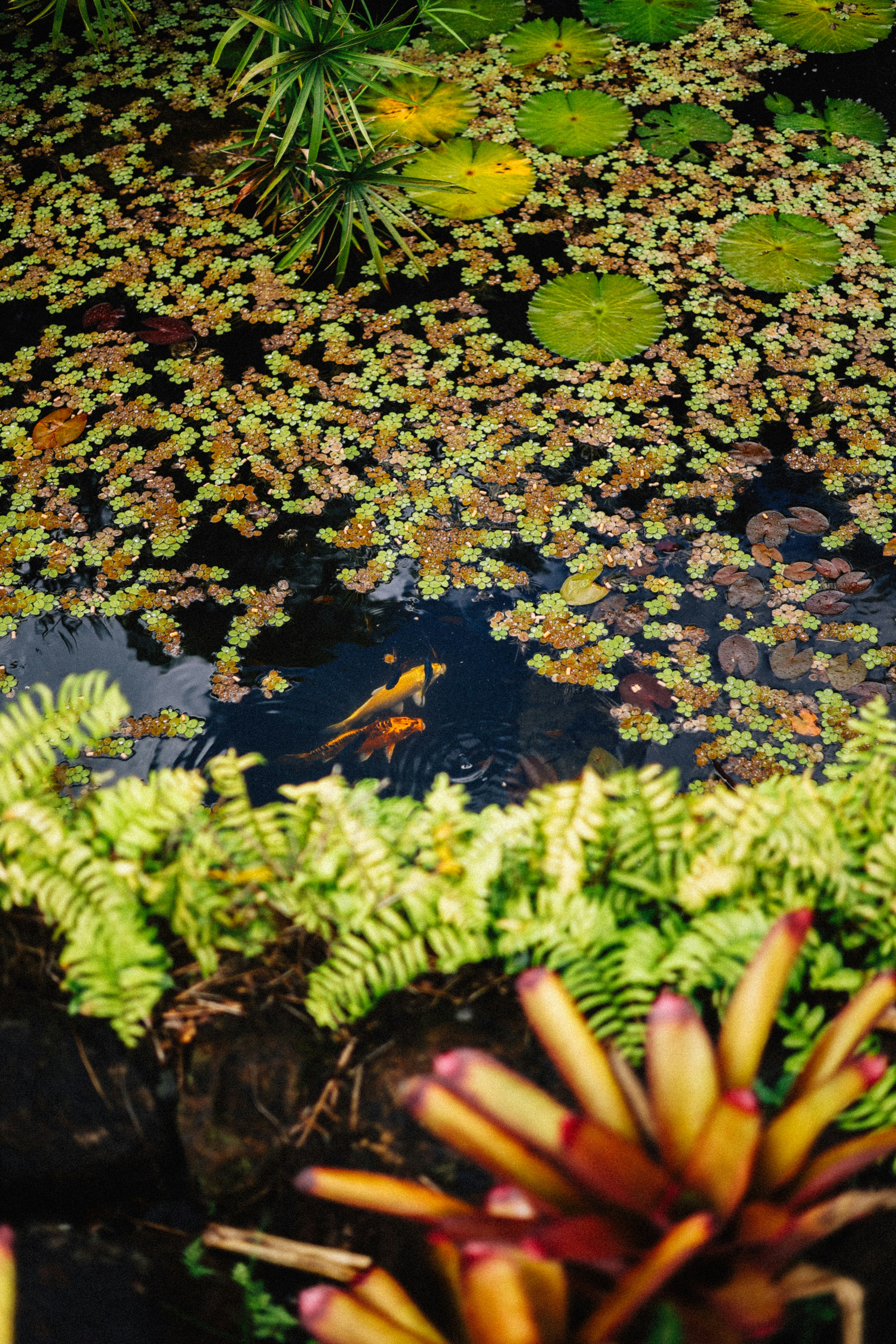 Photo by brookebalentine