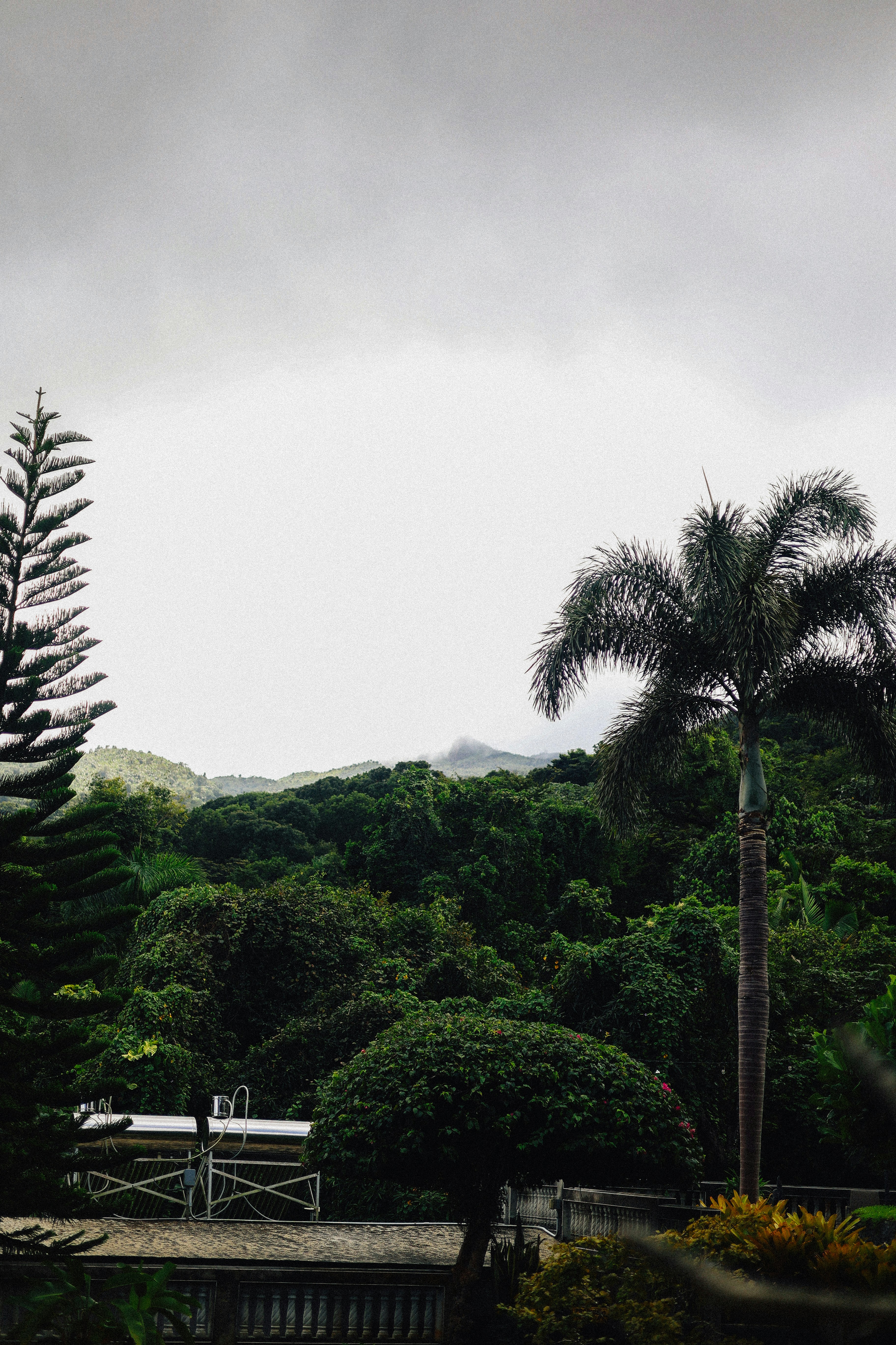 Photo by brookebalentine