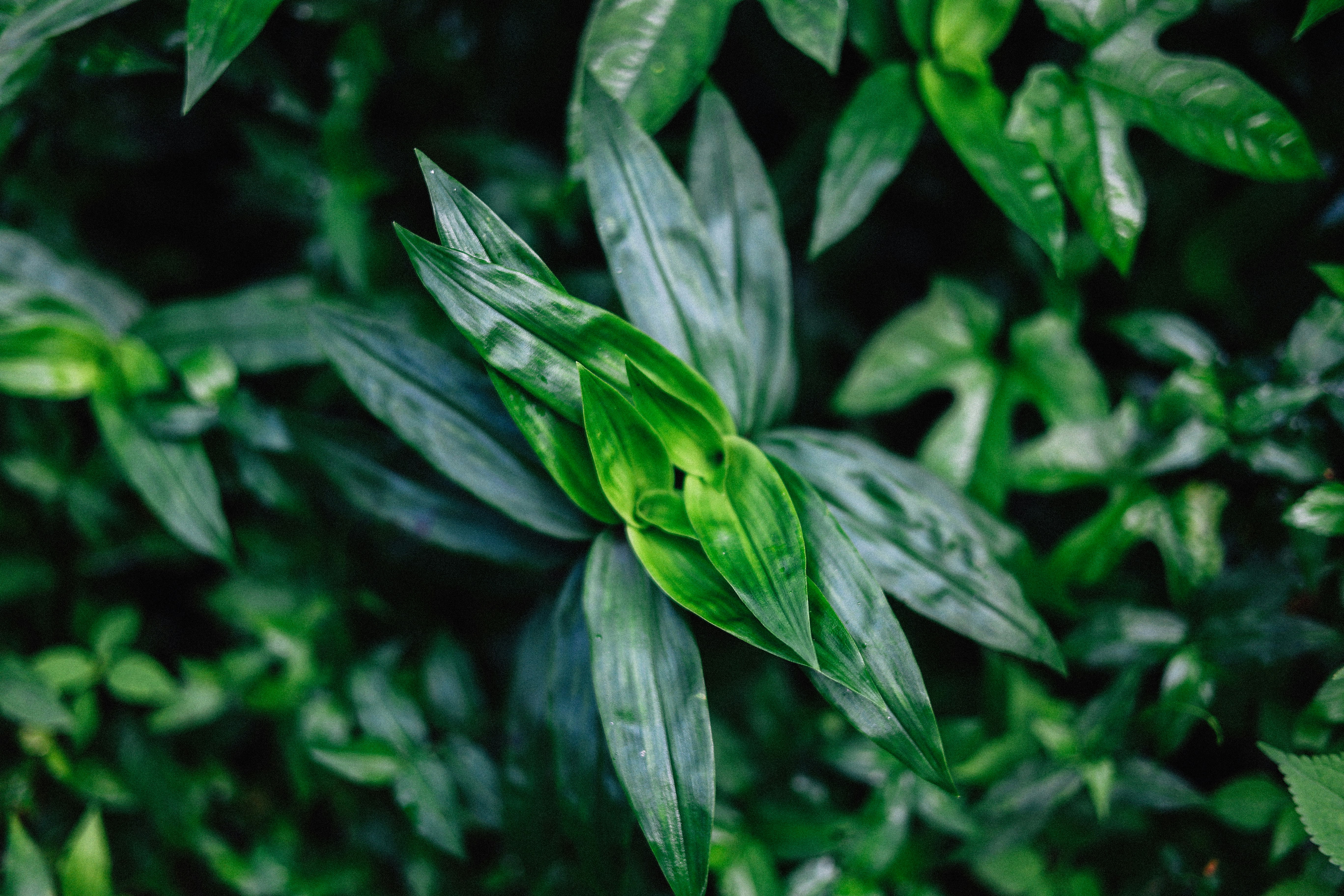 Photo by brookebalentine