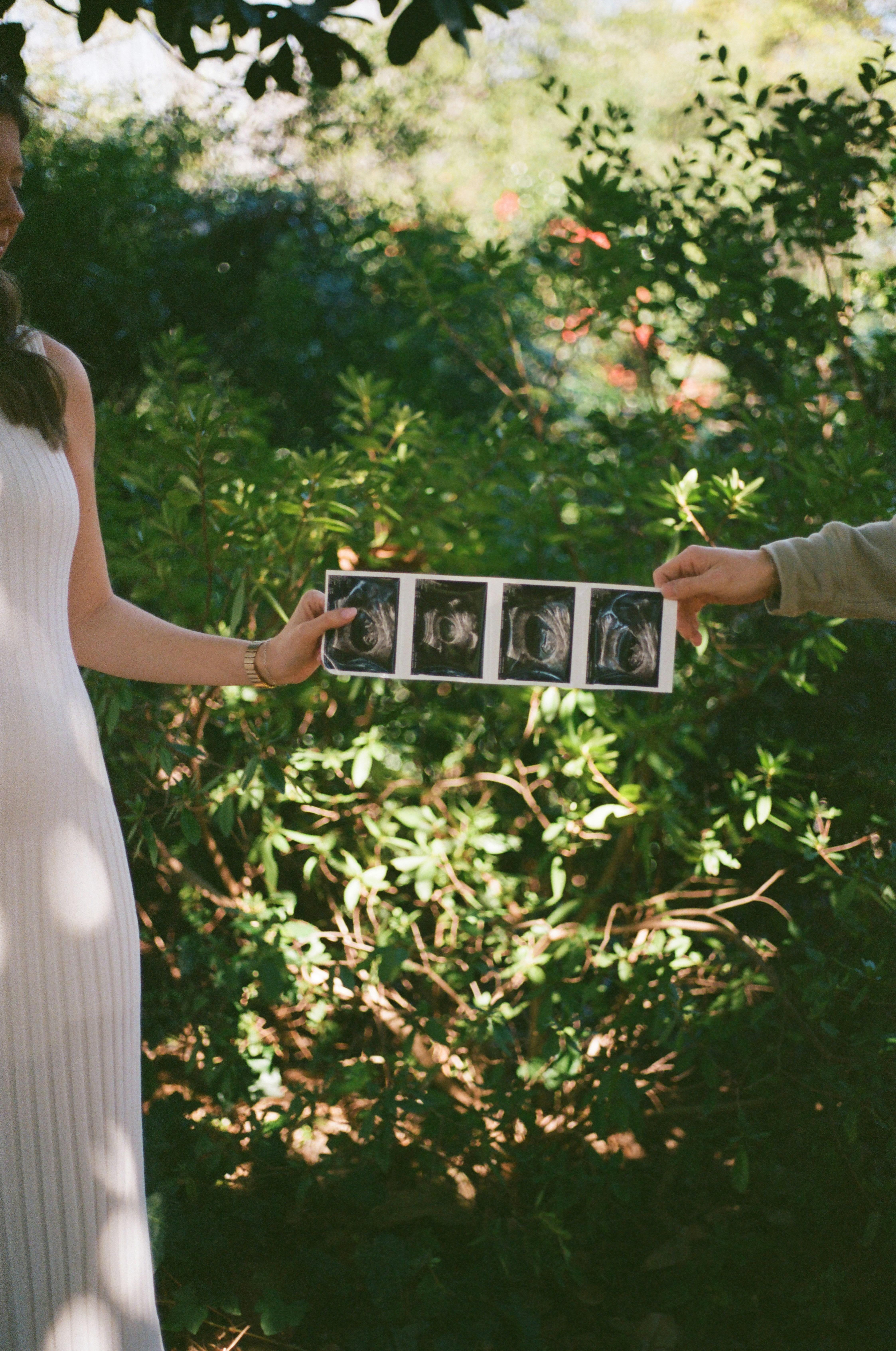Couple shares ultrasound images in a garden.