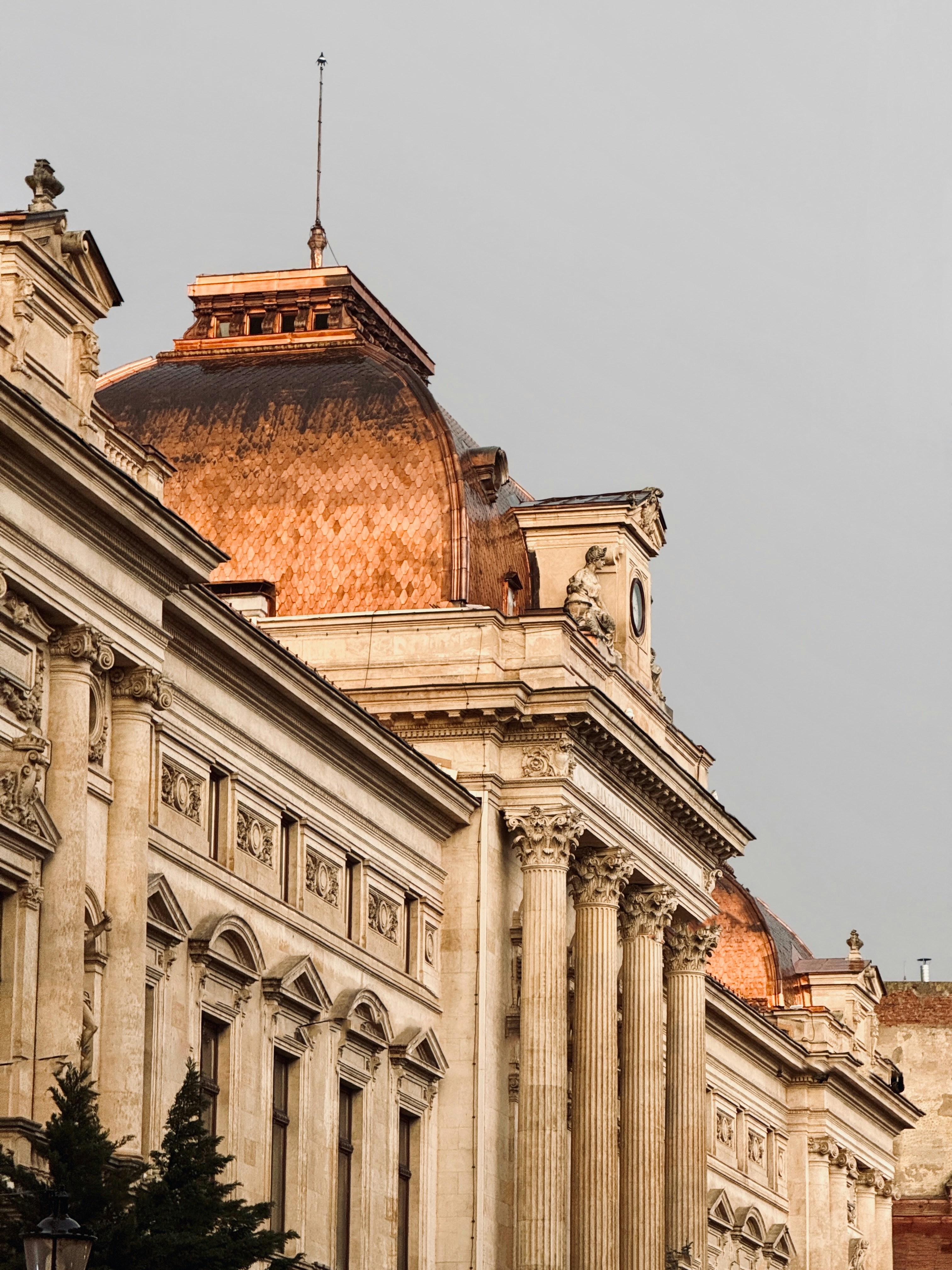 Photo by sarurobert1