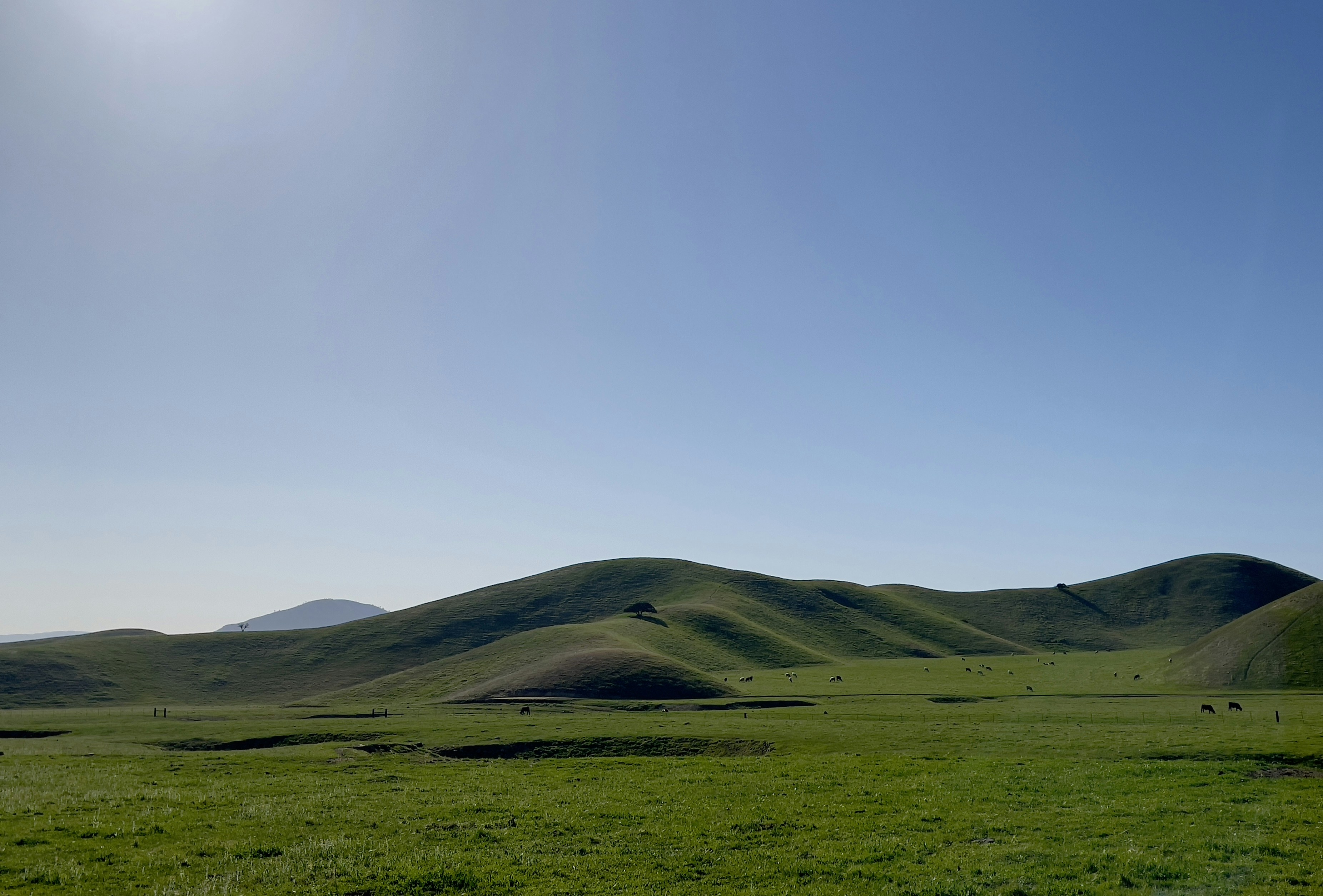 Photo by cam_cameras