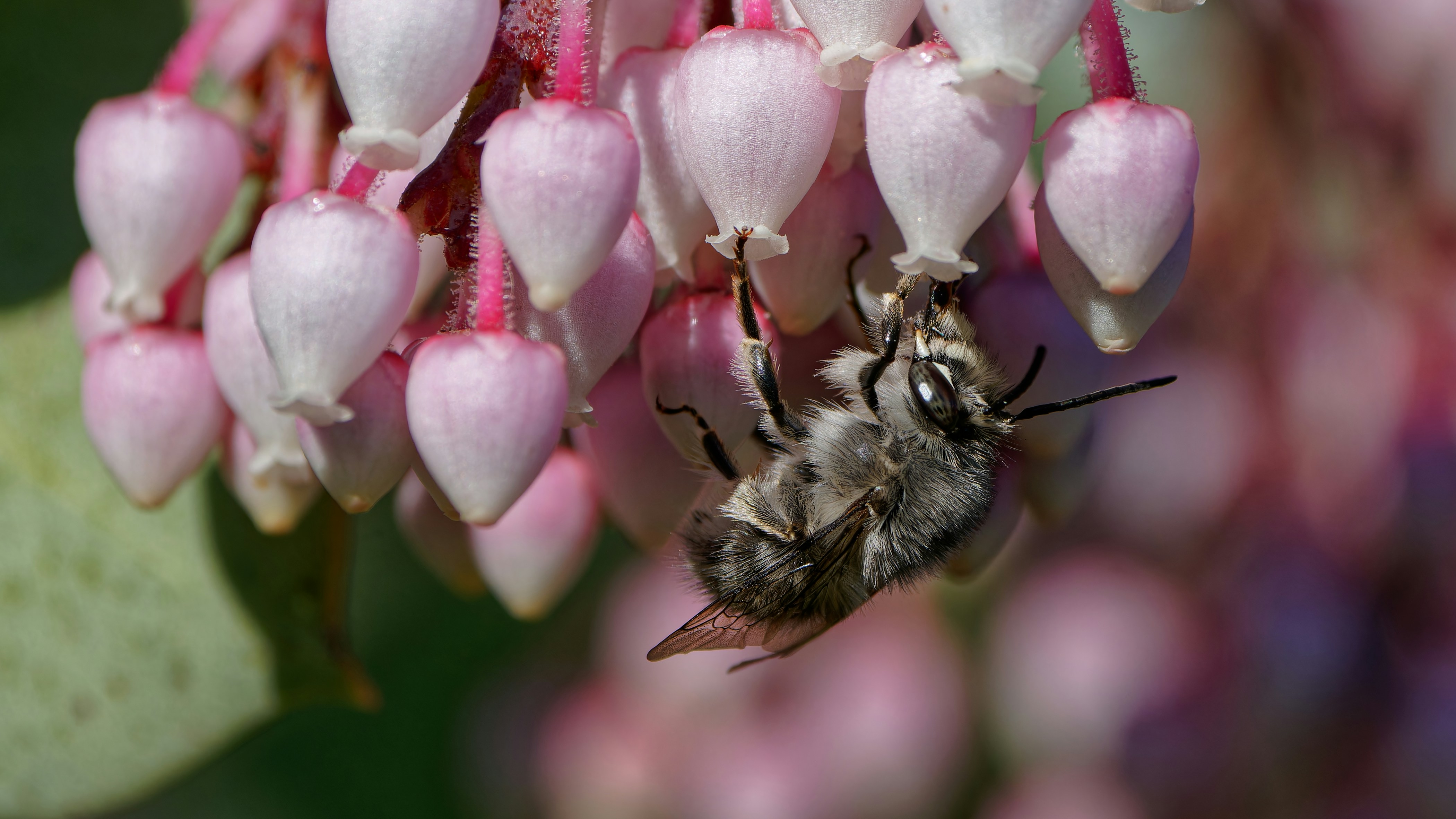 Photo by patrickbigelow_zoom_in