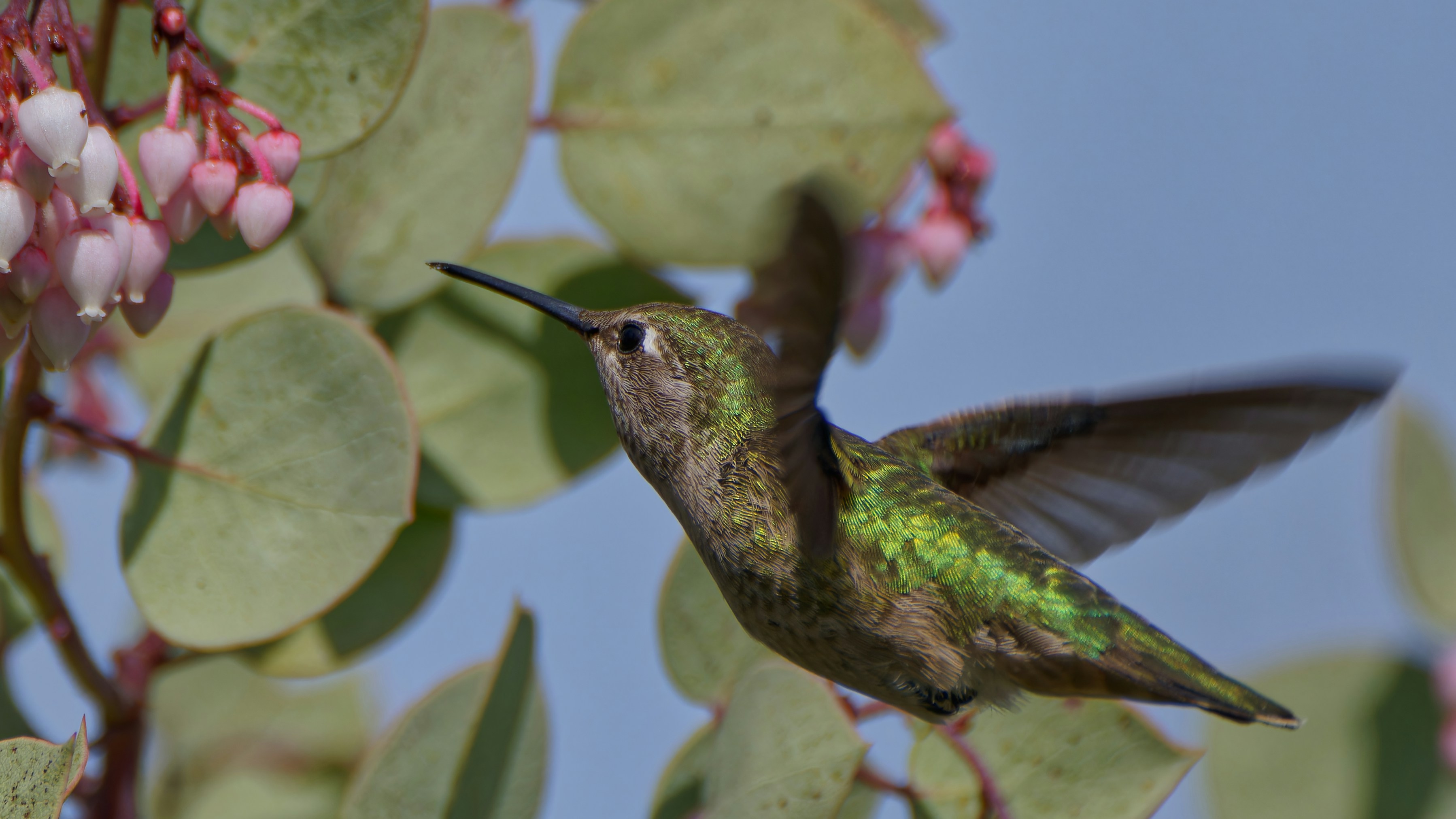 Photo by patrickbigelow_zoom_in