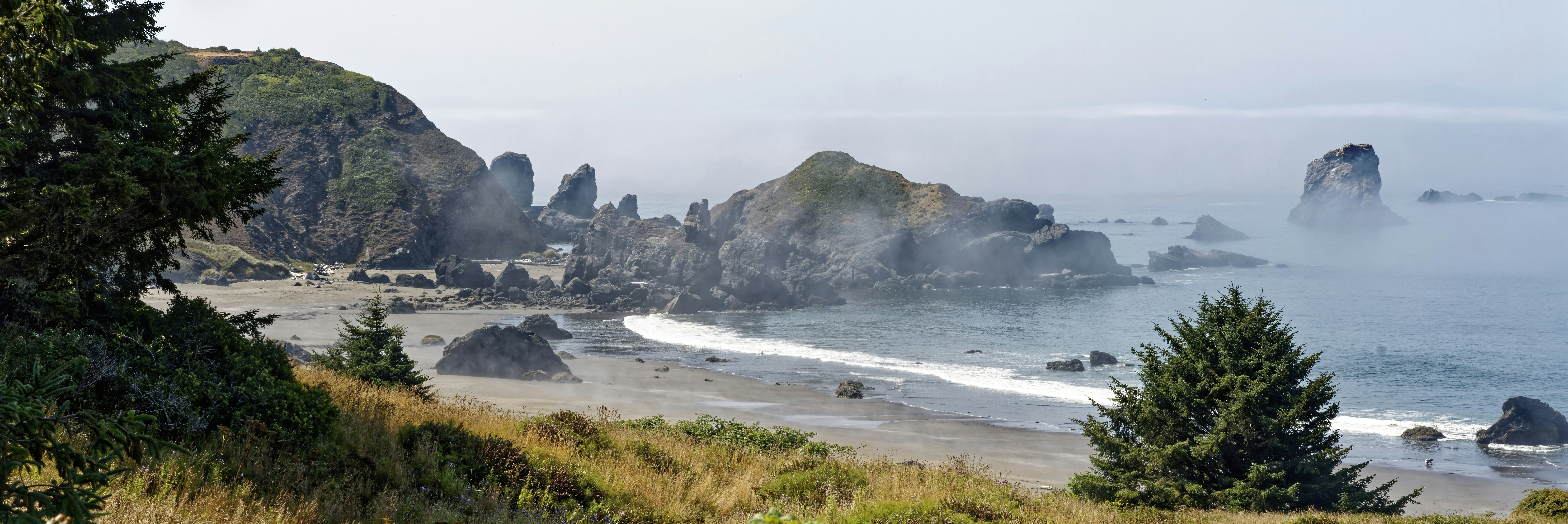 Rocky coastline with fog over the ocean