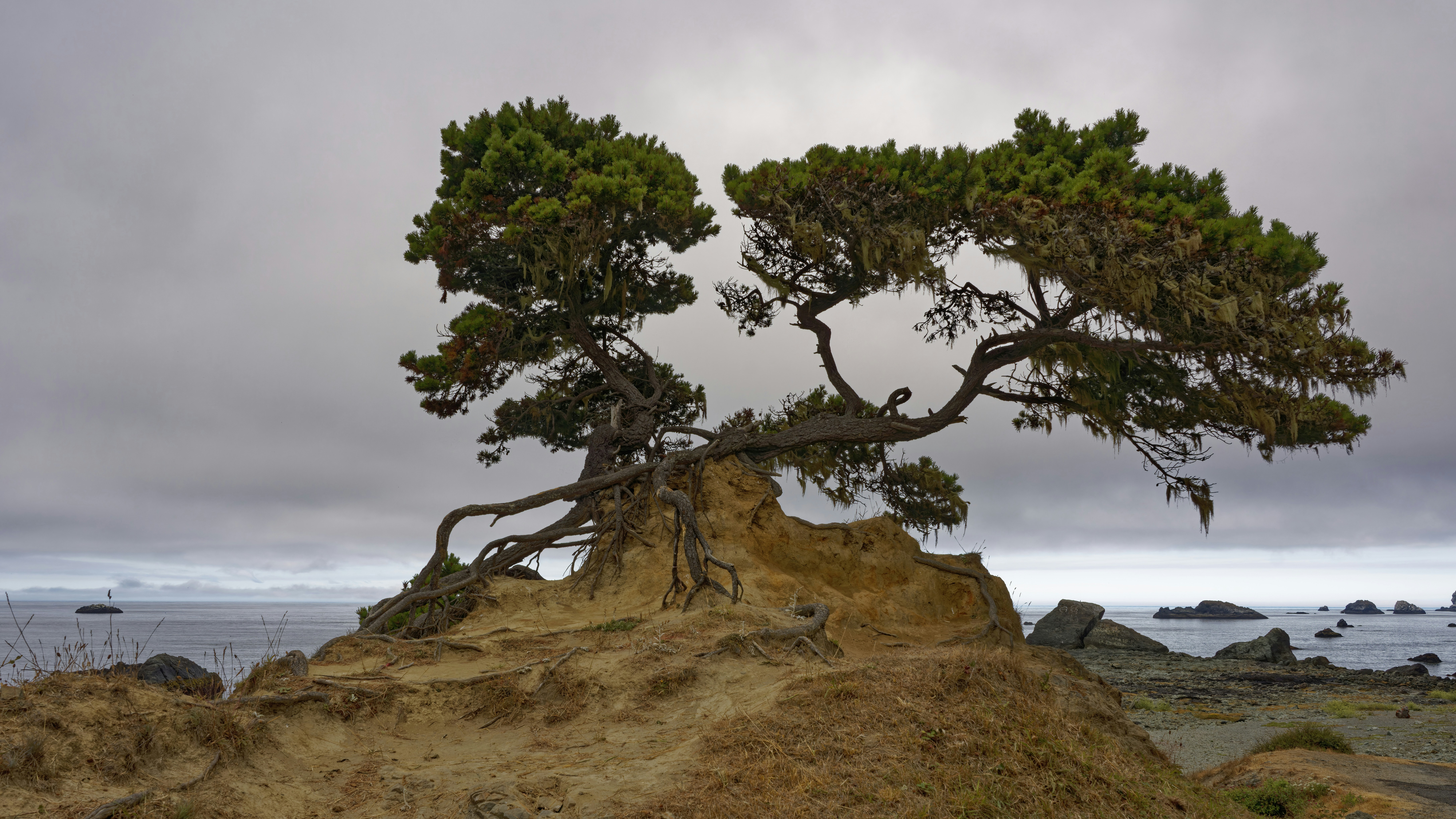 Photo by patrickbigelow_zoom_in