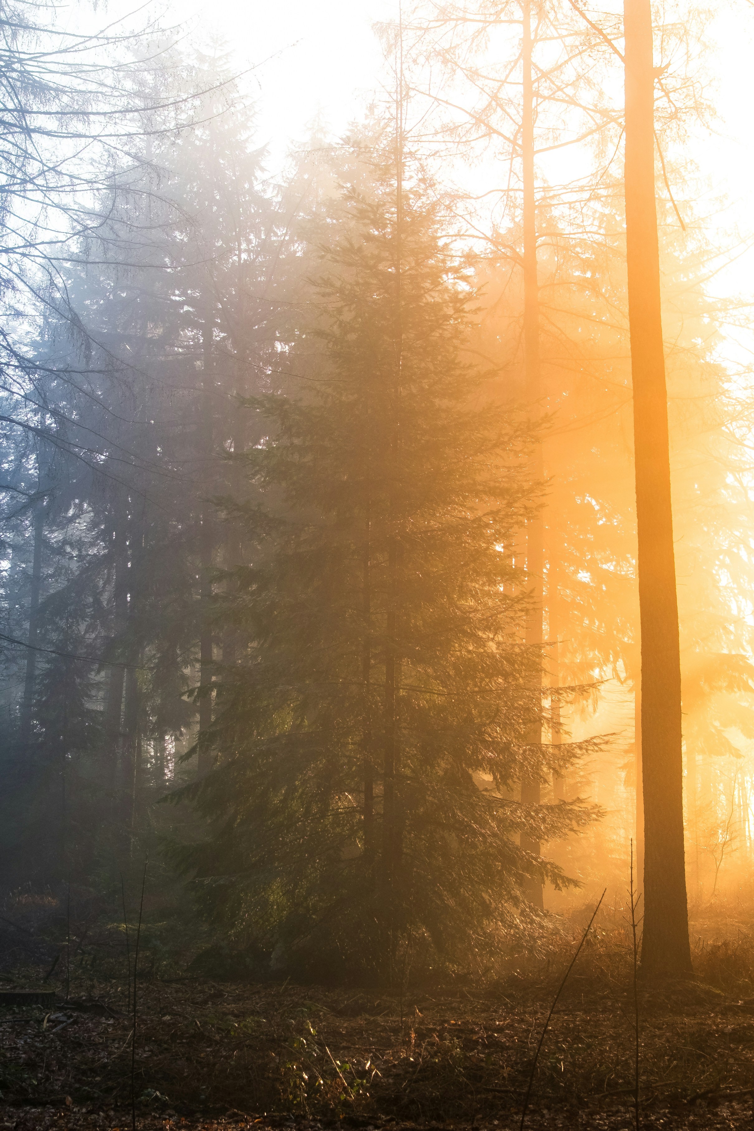 Photo by visualsbying