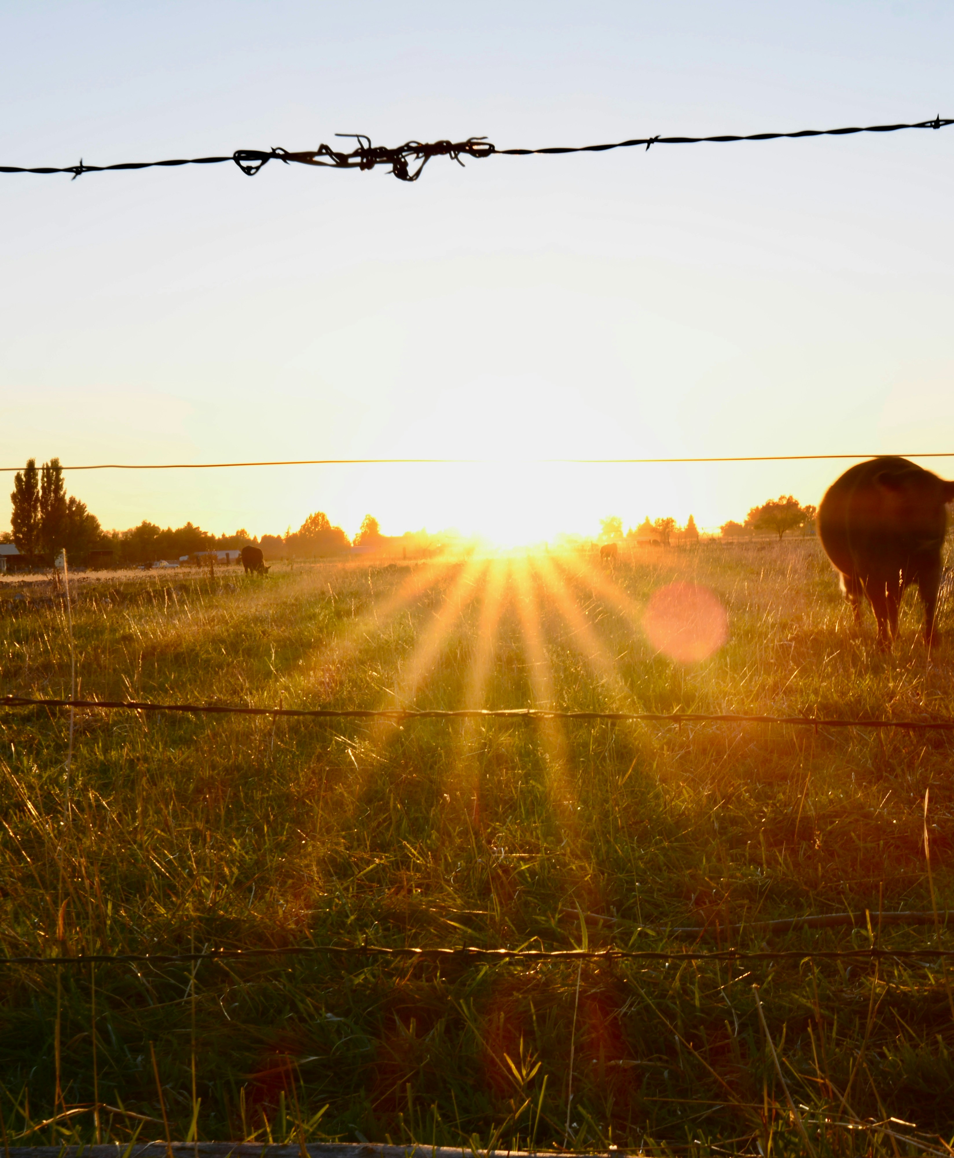 Photo by martinezjmp