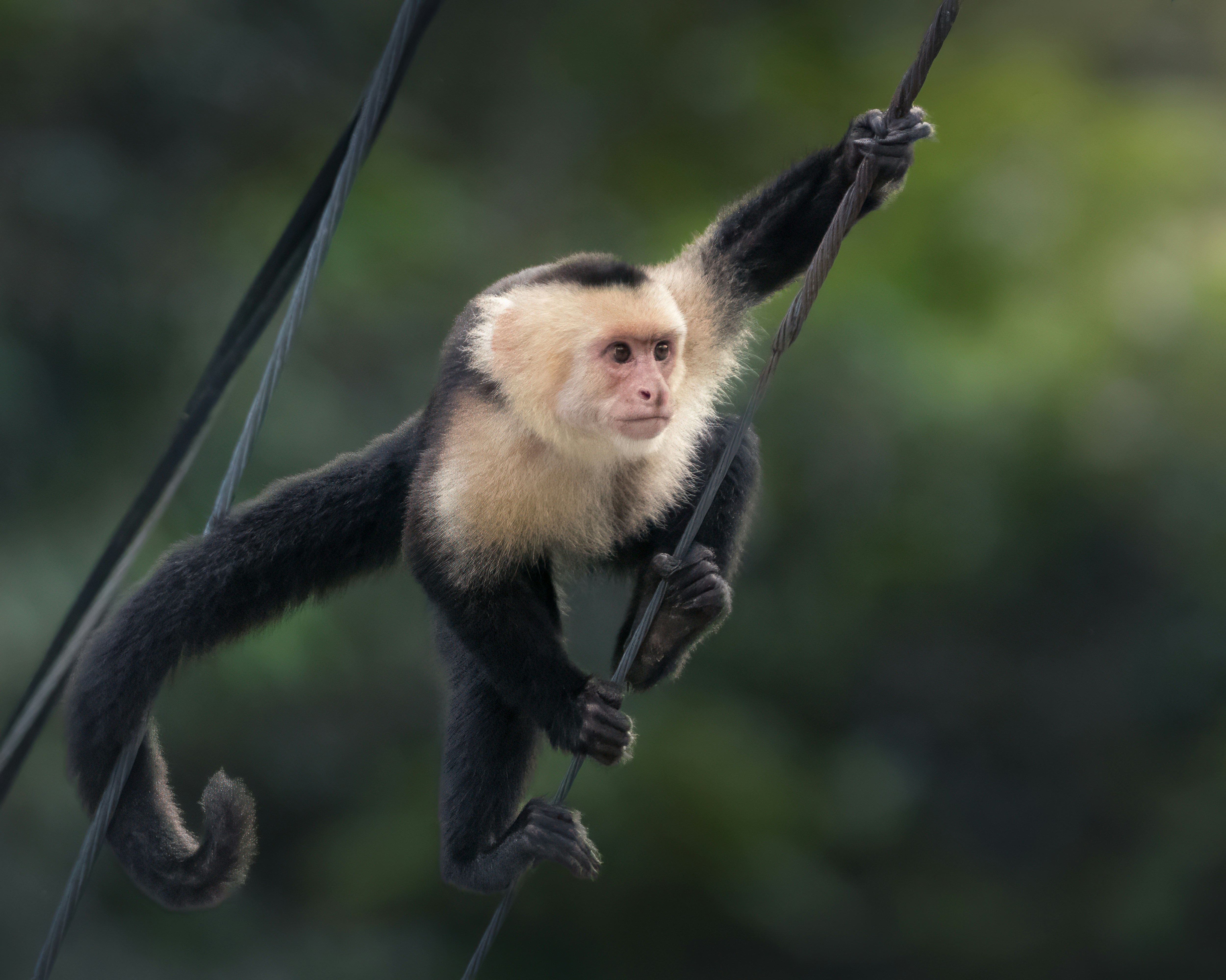 Photo by rob_bird_photography