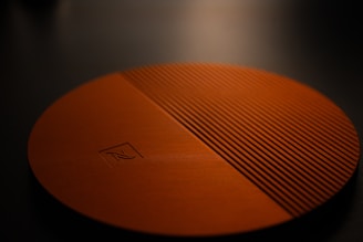 An orange, textured circular item is presented.