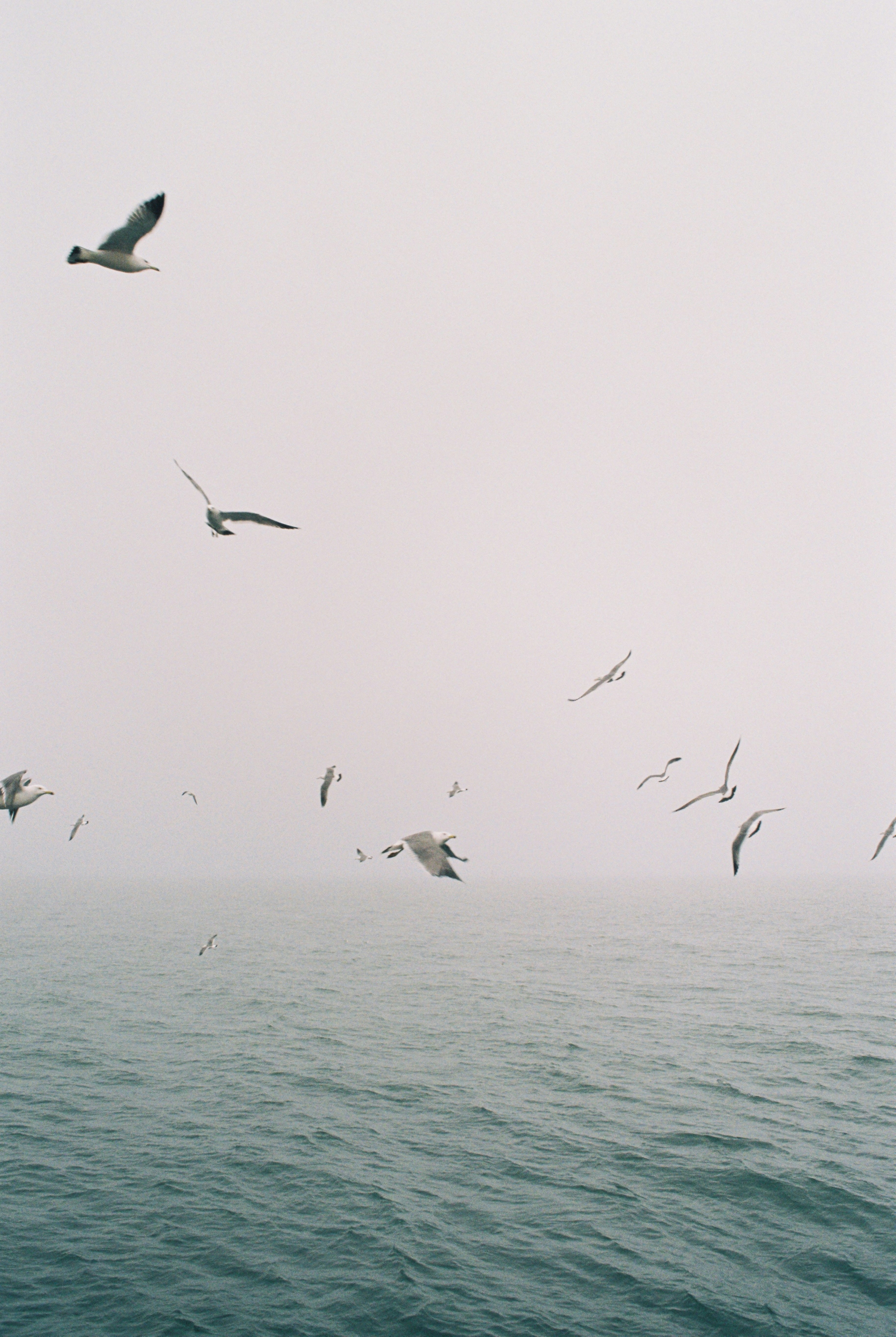 Photo by nihthu