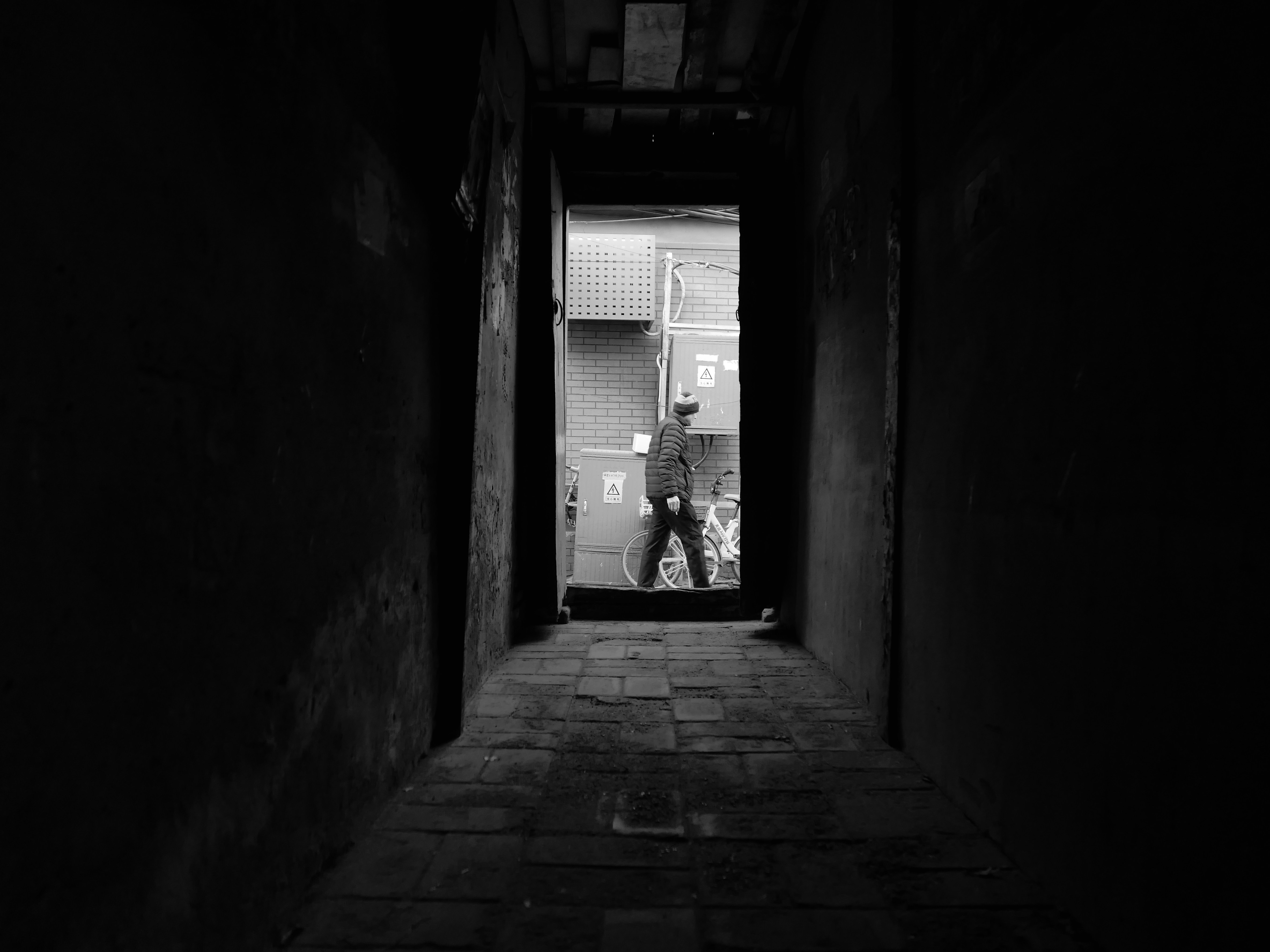 Photo by tree_by_spring