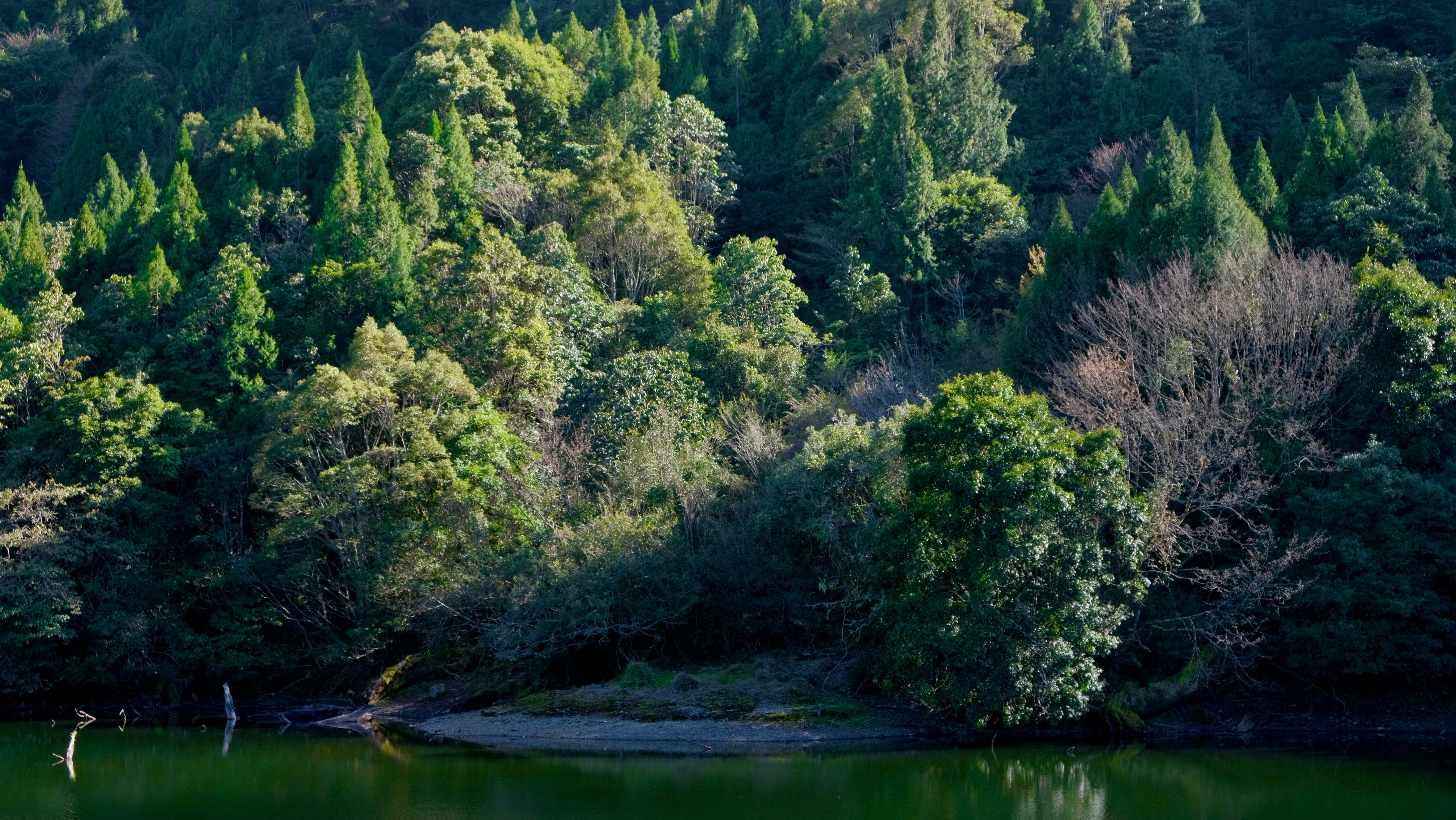 Photo by siousiou168