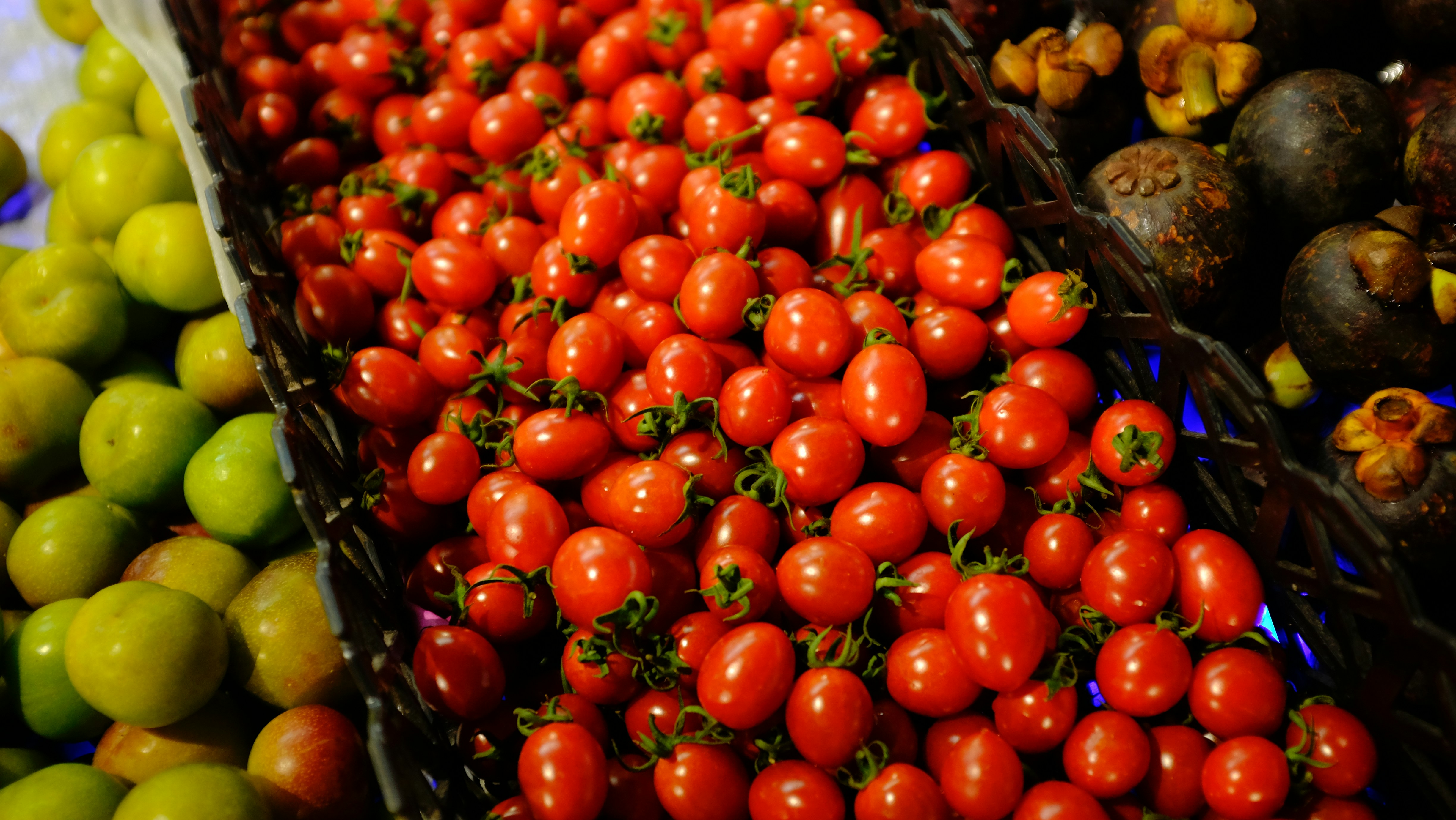 Photo by tree_by_spring