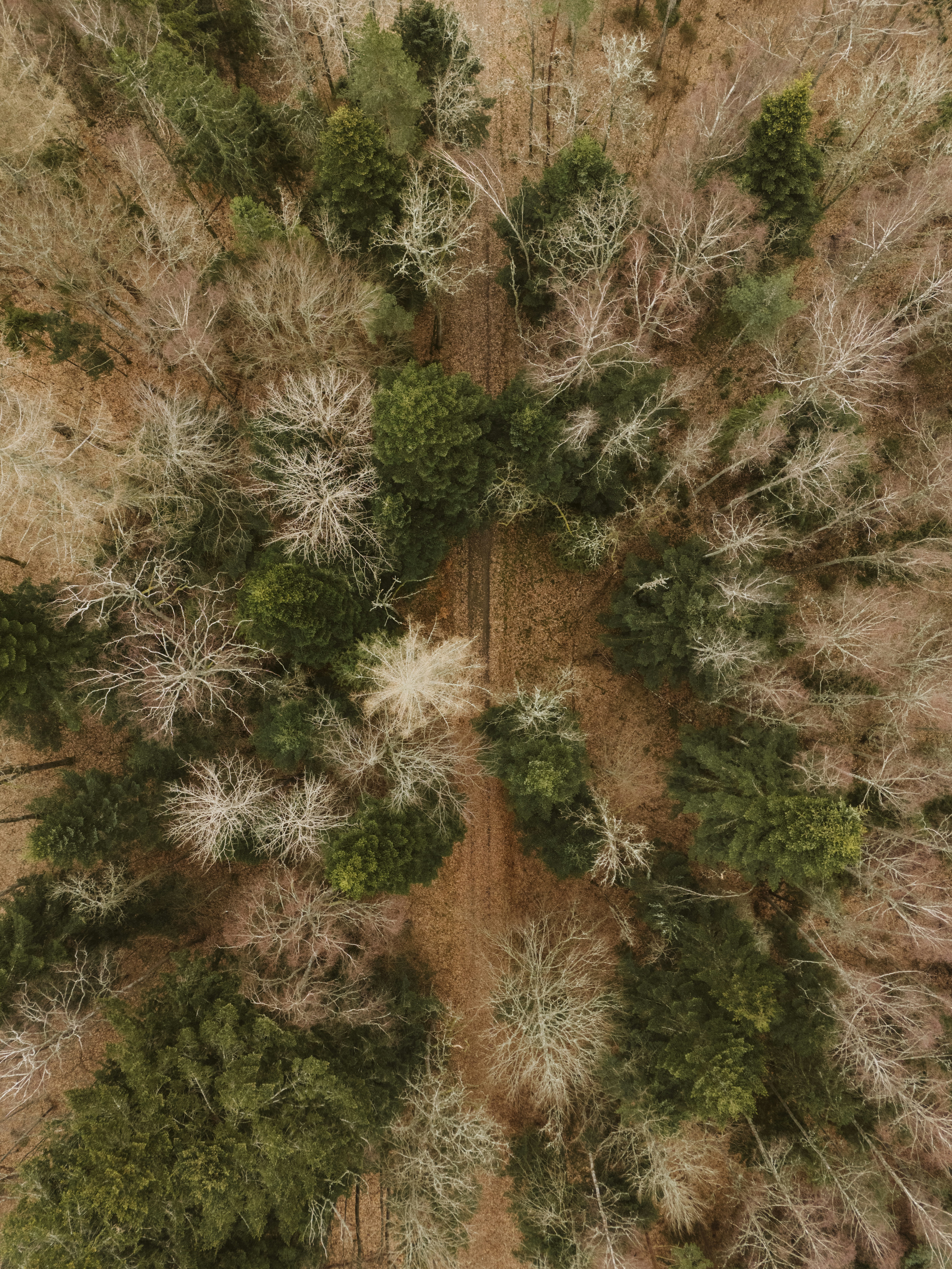 Photo by vilkuaivars