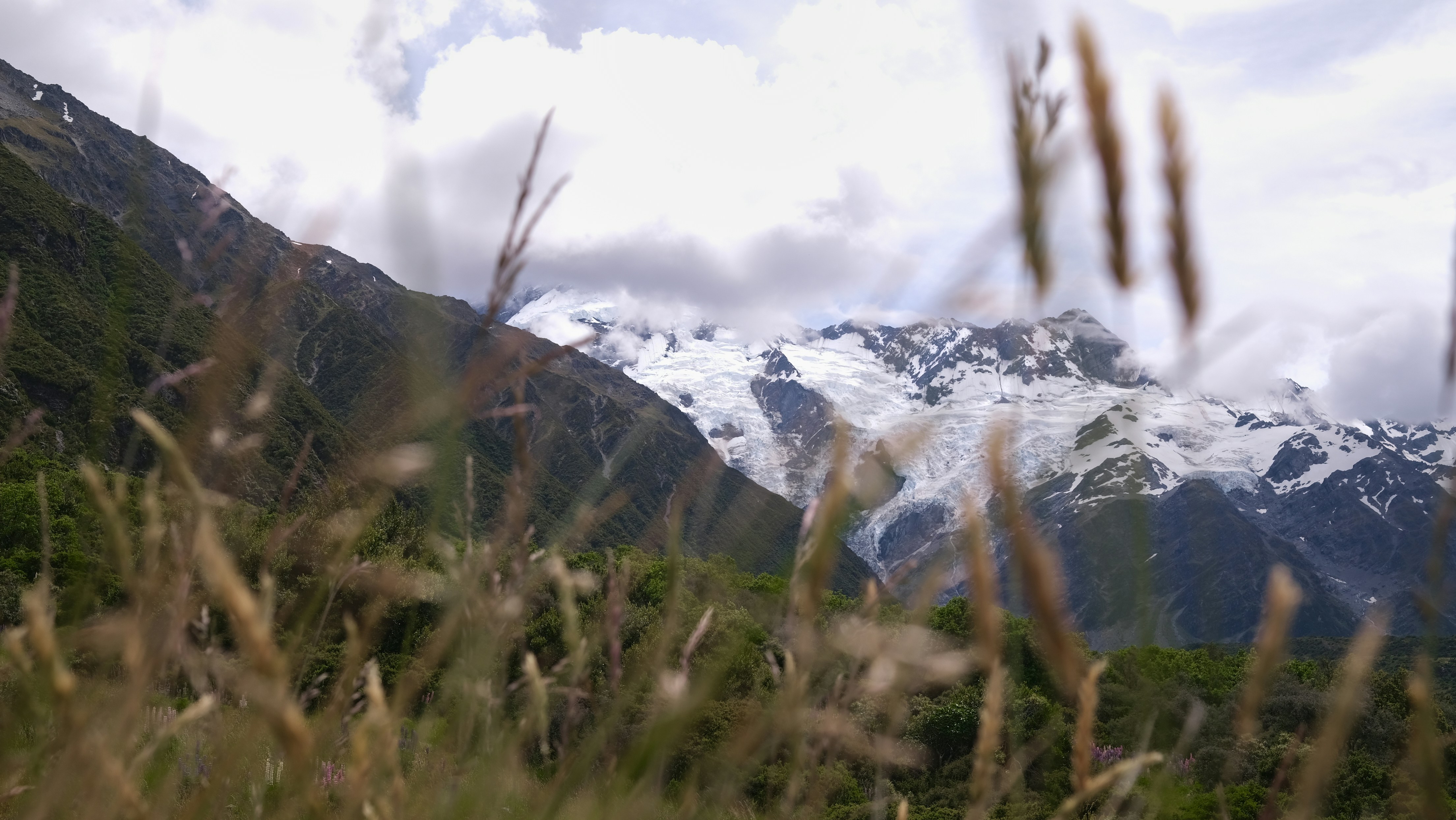 Grassy field with a mountain in the background.