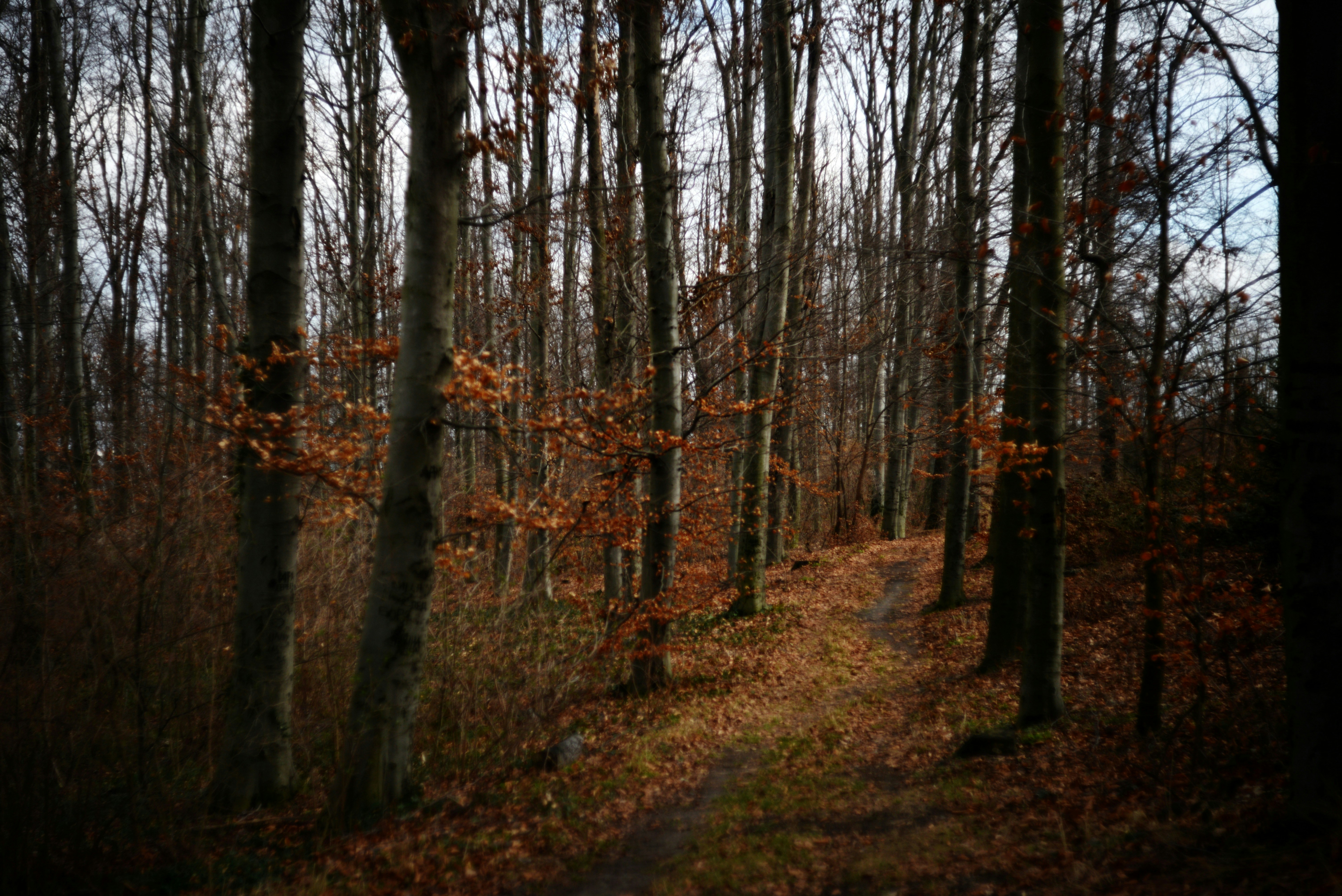 Photo by cherstve_pechivo