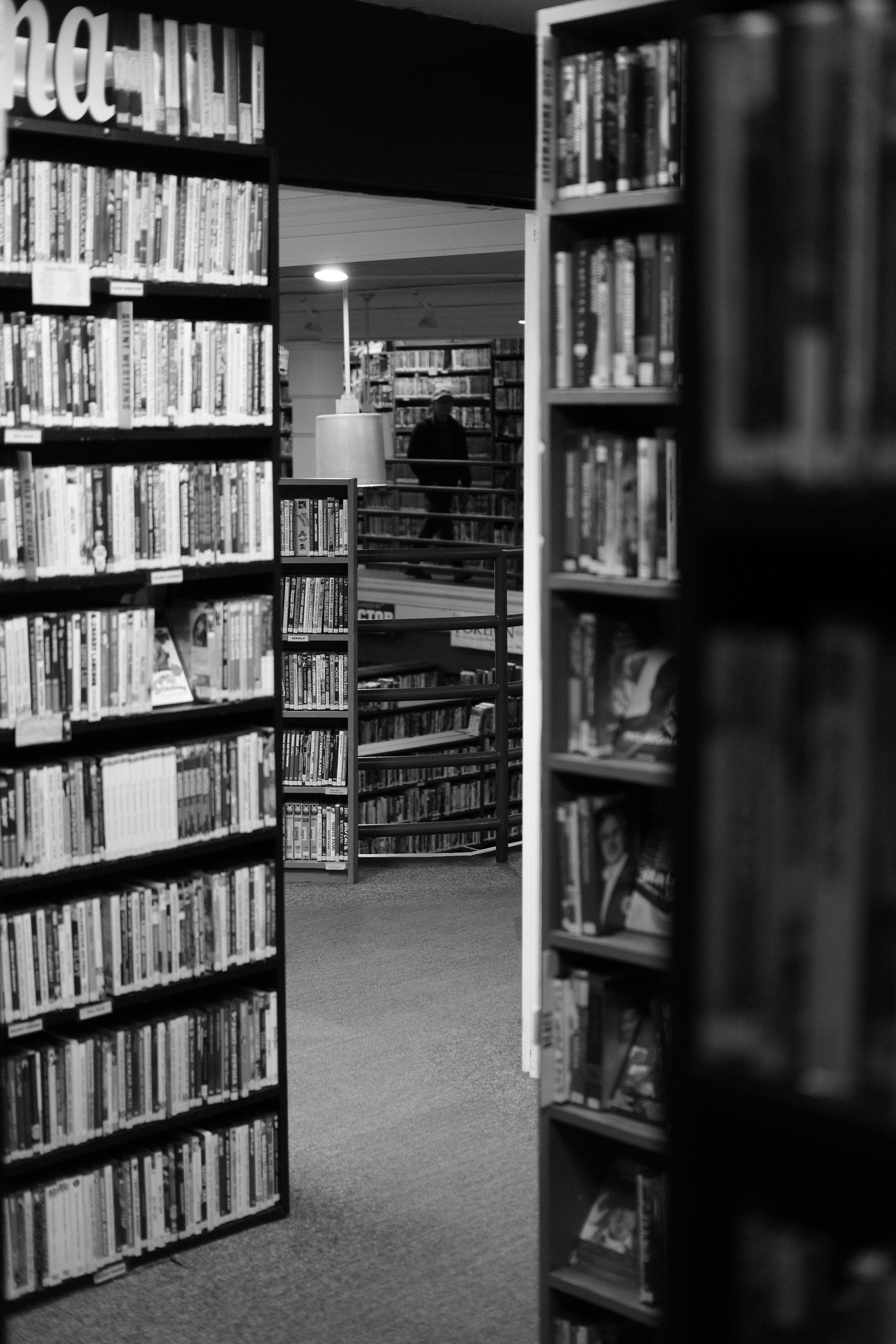 Photo by lanedapoint