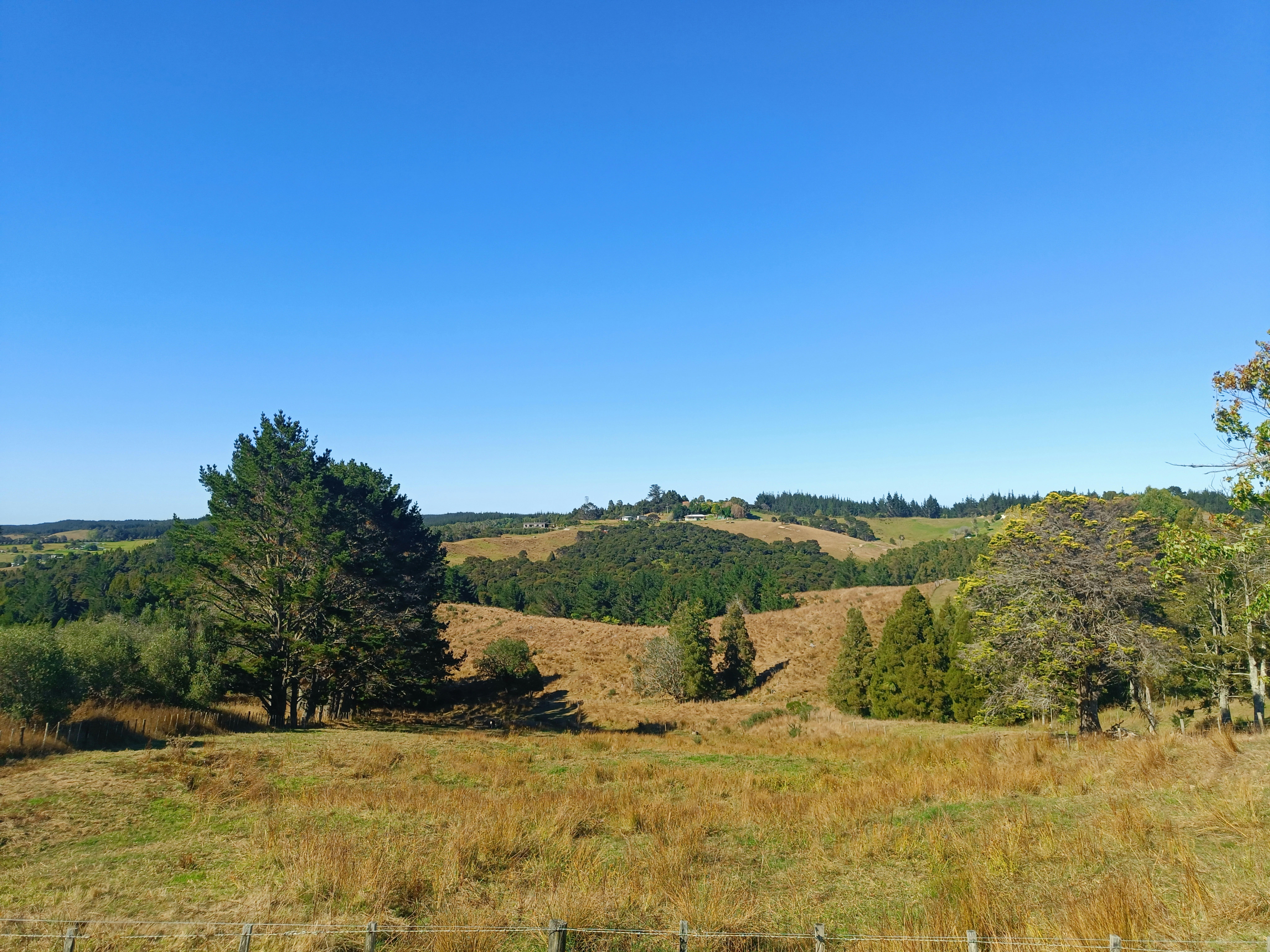 Photo by vamseedharg