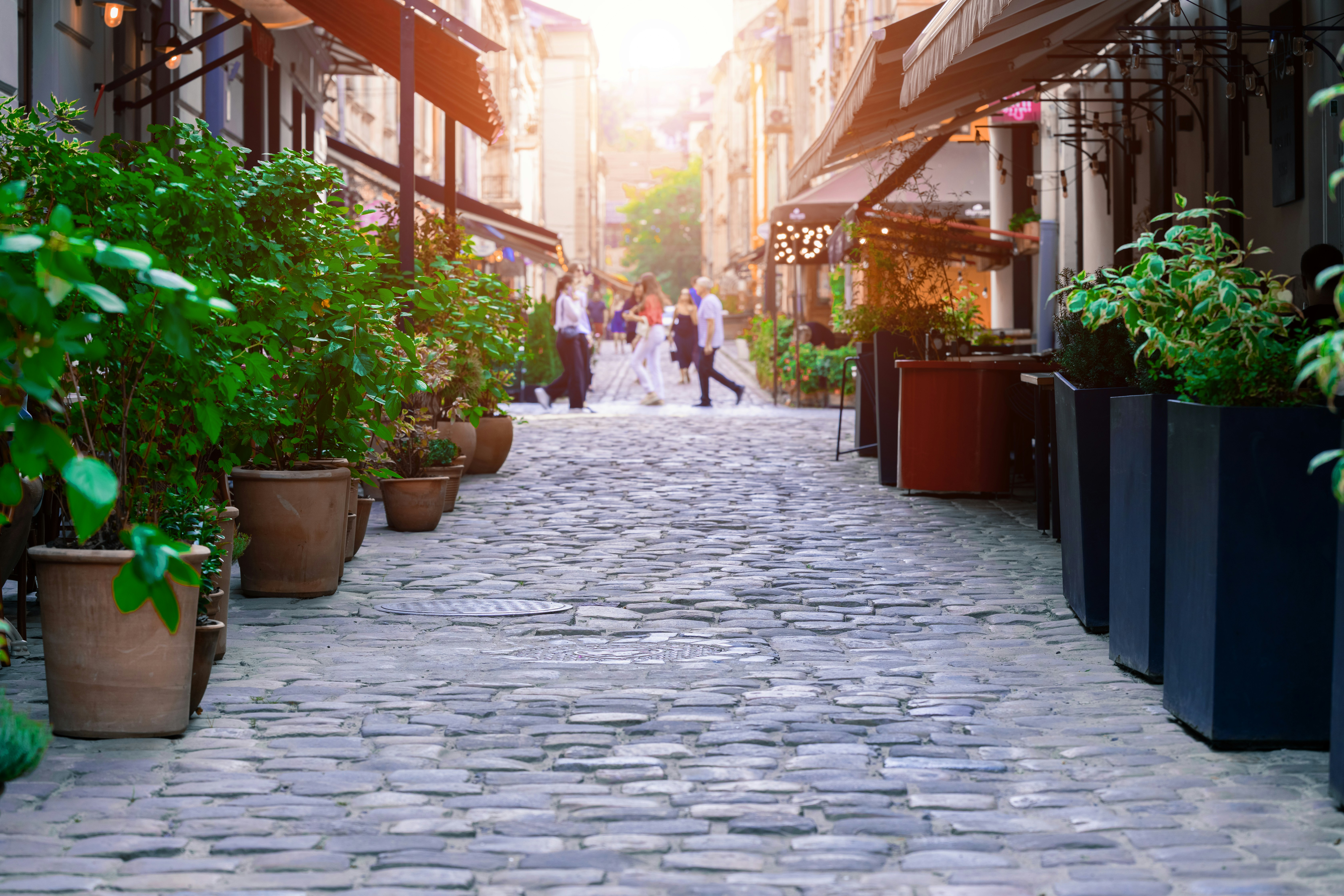 That Random Alley Still Lives Rent-Free in Your Head — Here's Why