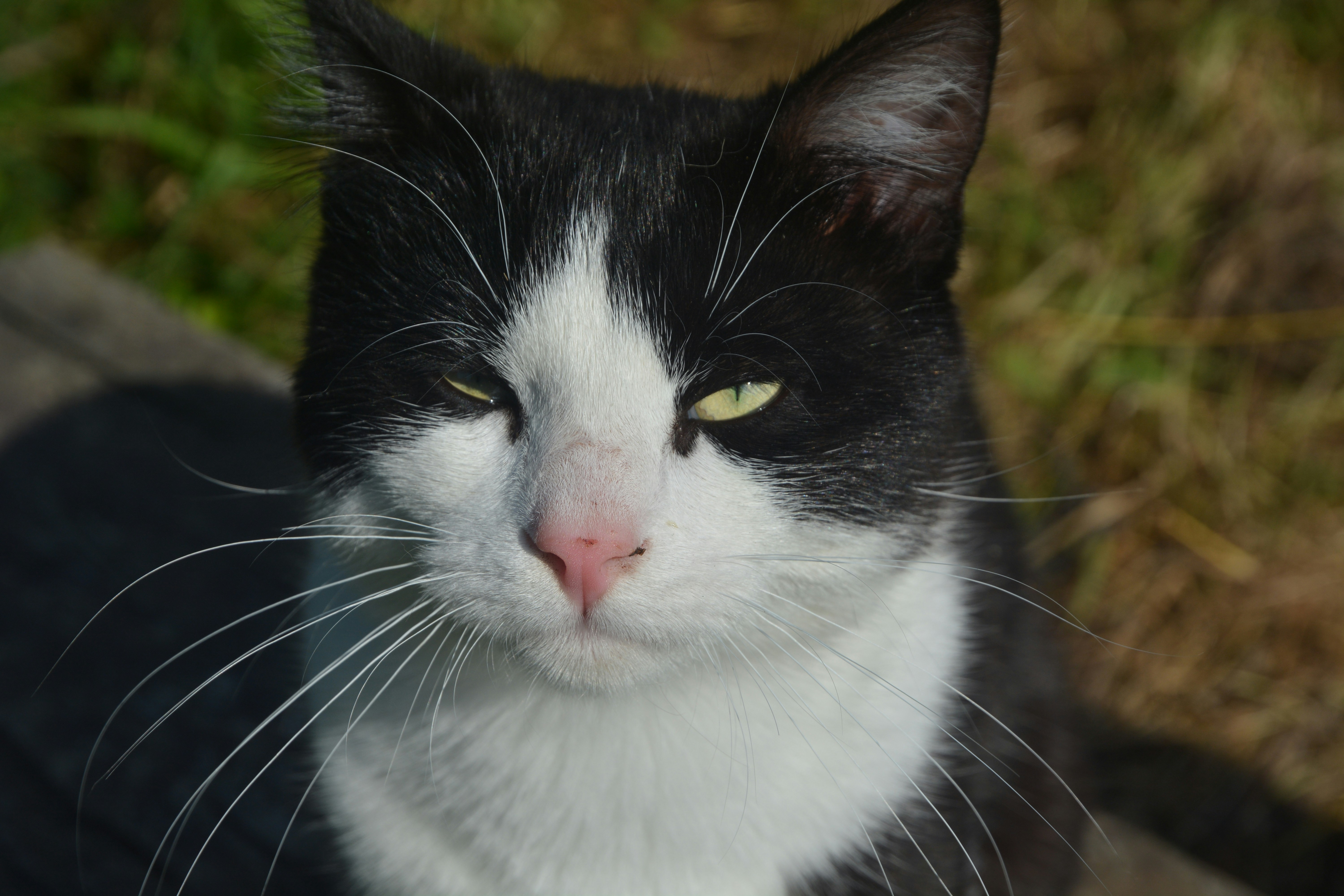 Photo by ashwinward18