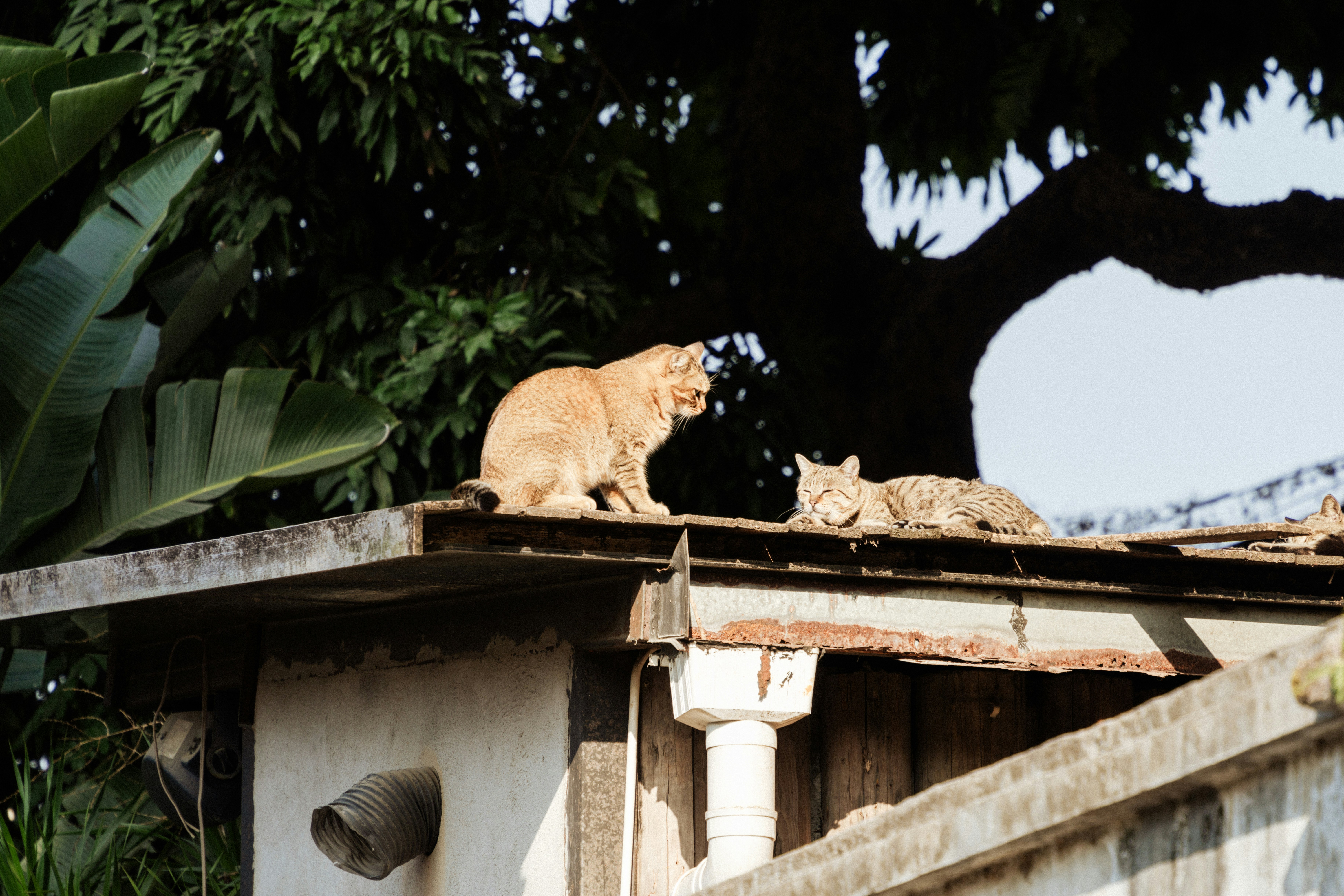 Photo by zhenyao_photo