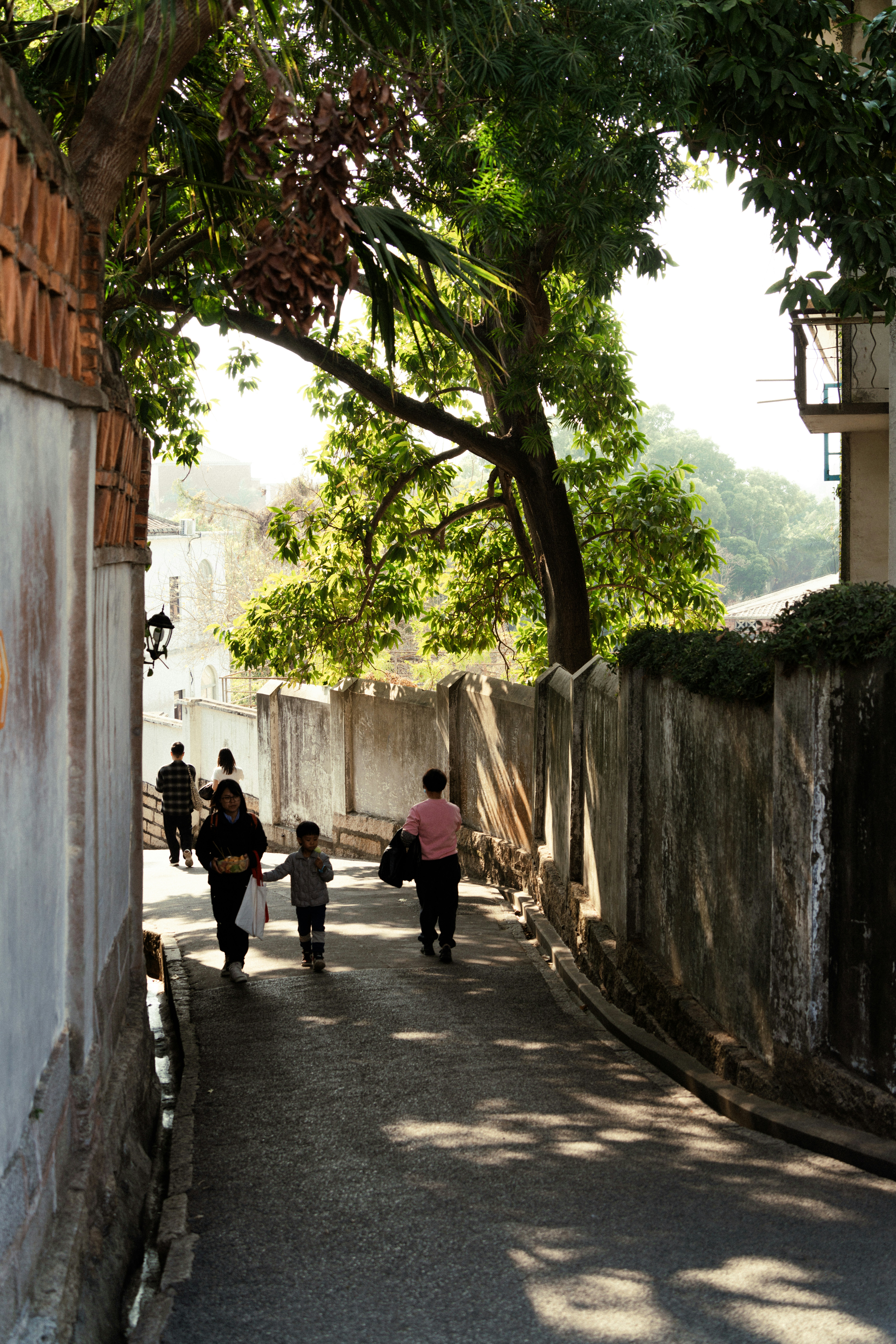 Photo by zhenyao_photo