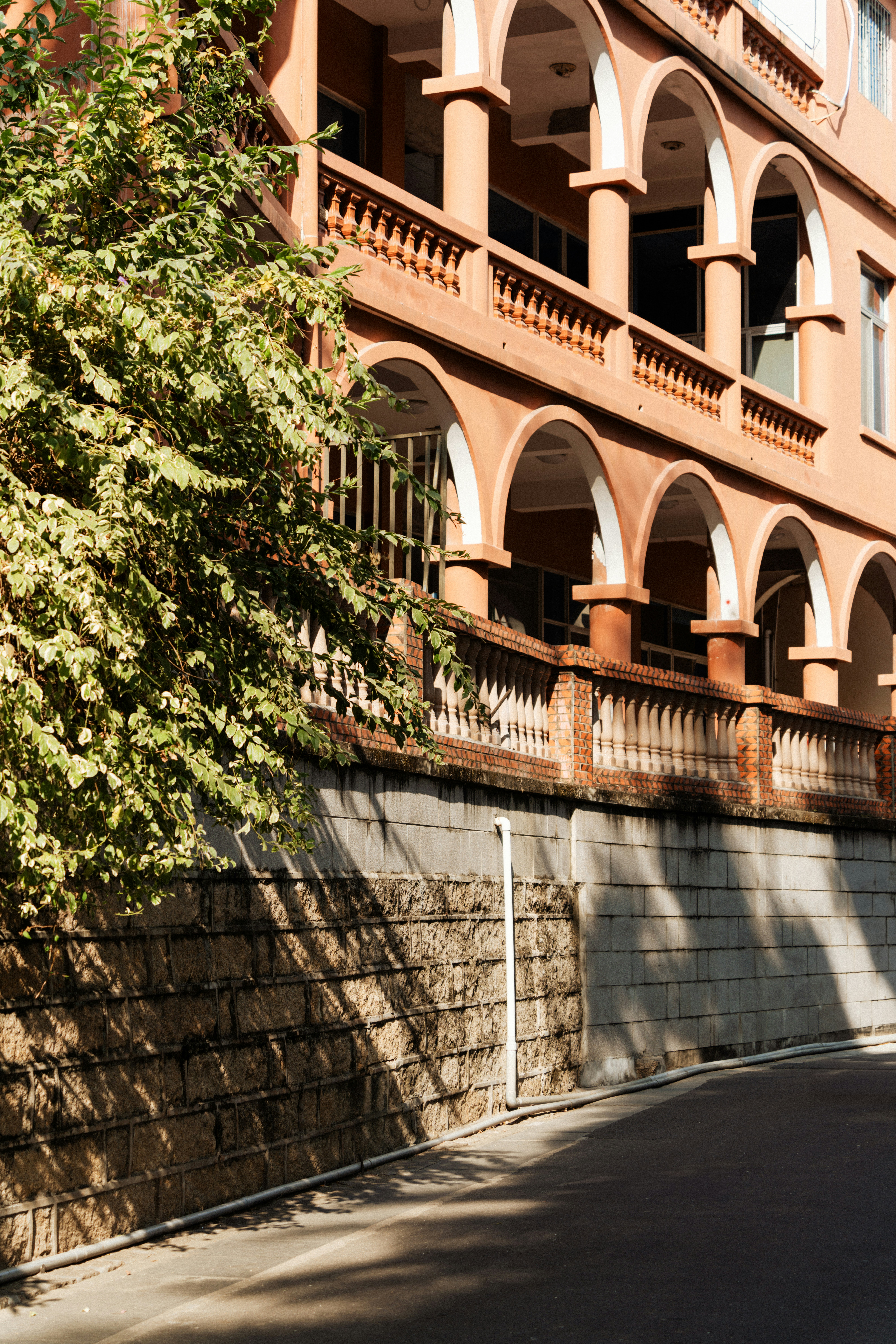 Photo by zhenyao_photo