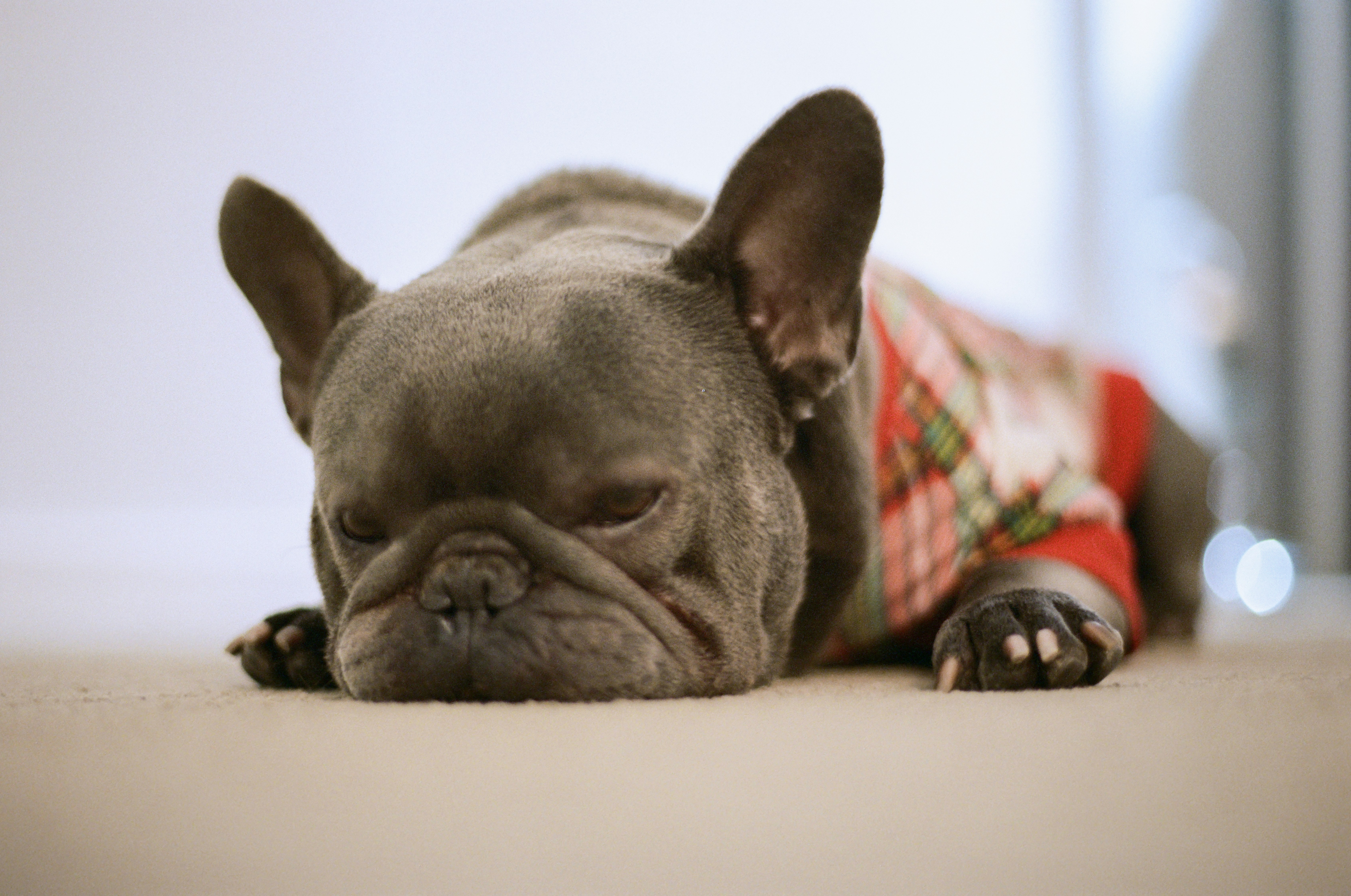 Photo by zhenyao_photo