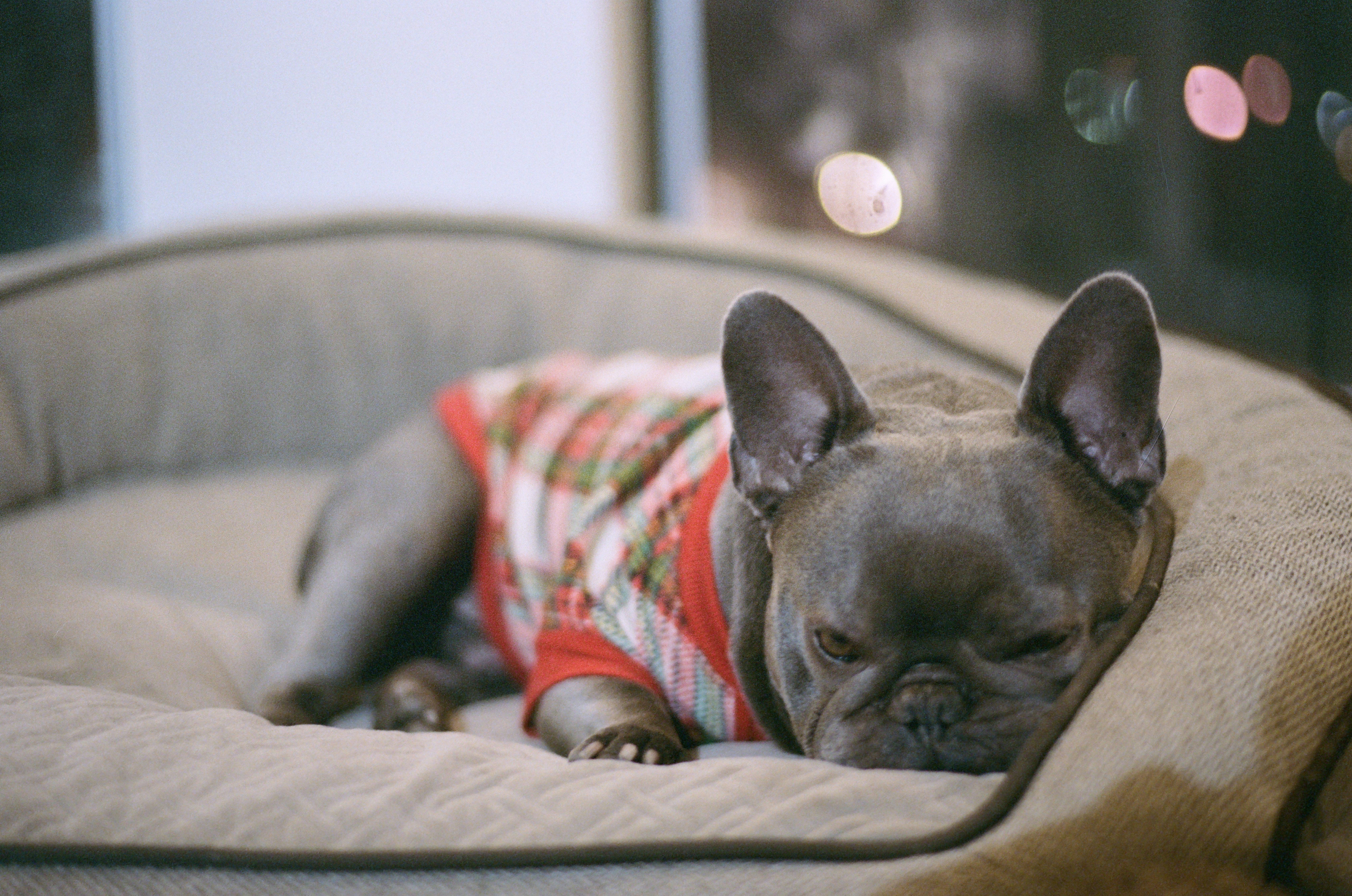 Photo by zhenyao_photo