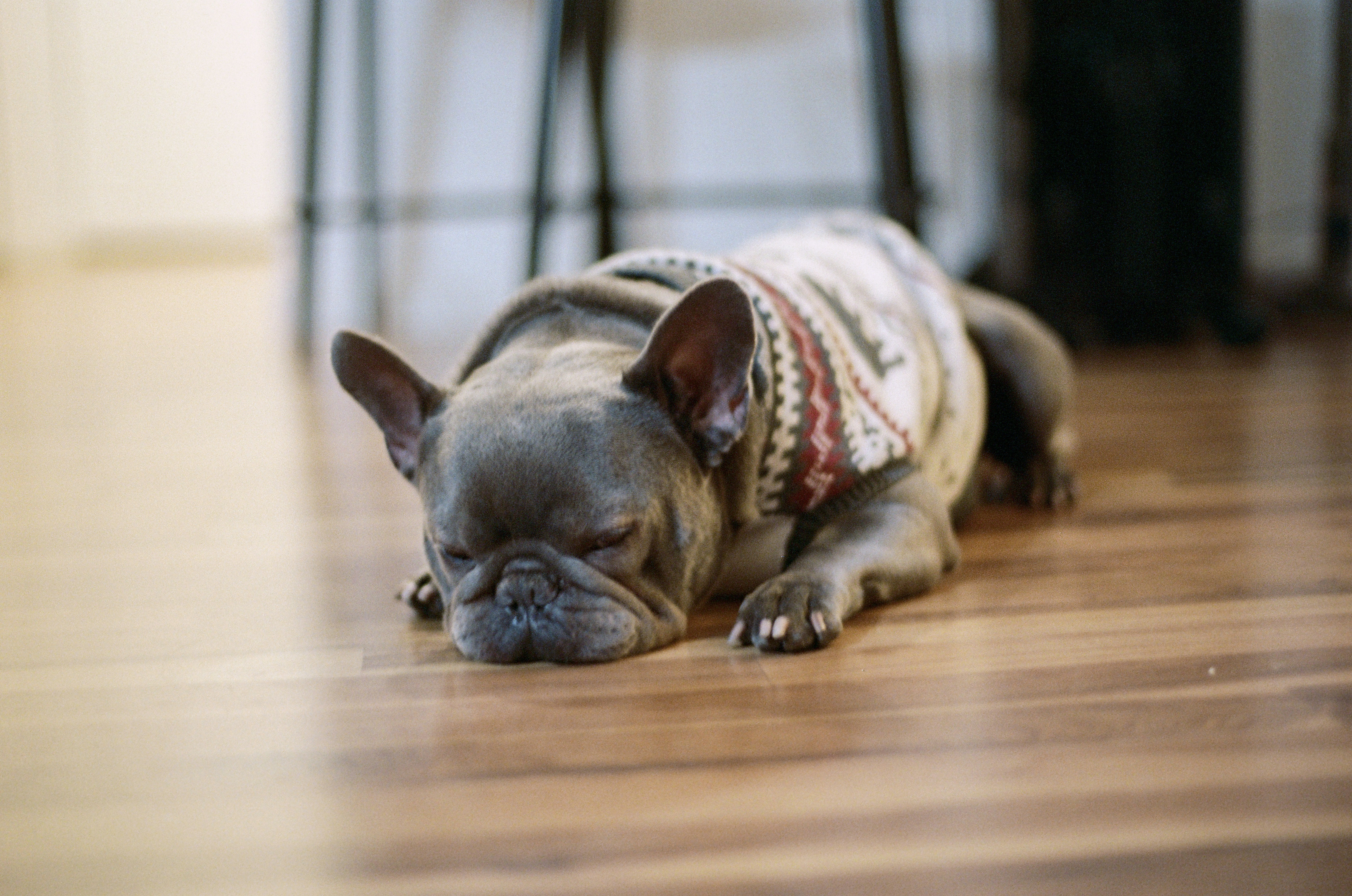 Photo by zhenyao_photo