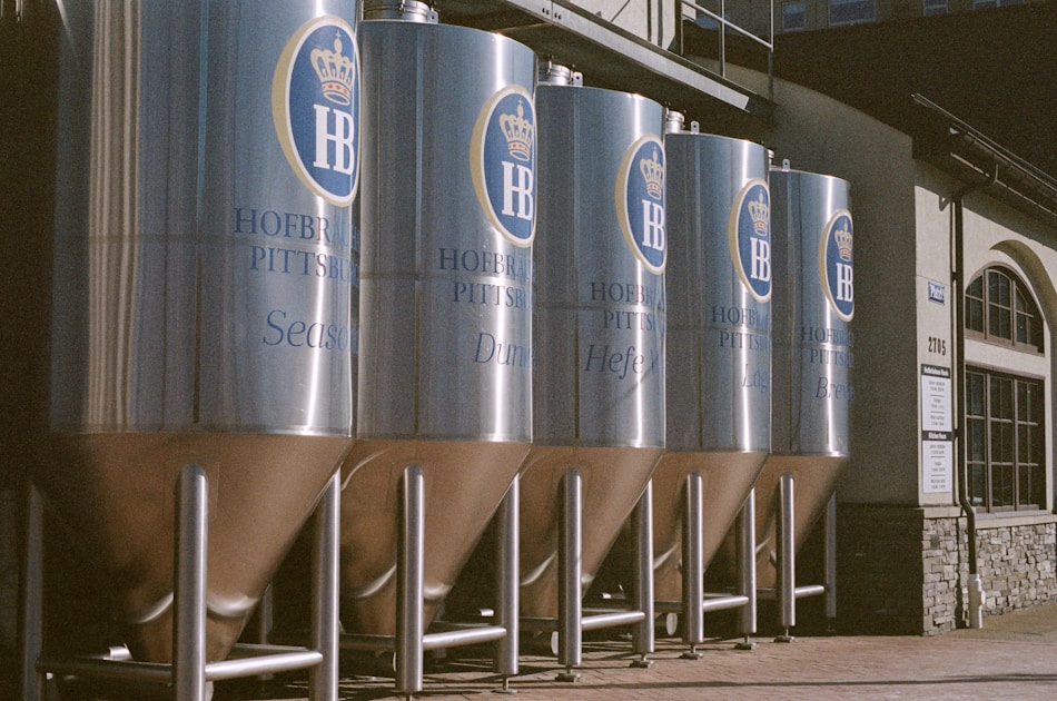 Sour beer brewing at home — step-by-step visual example