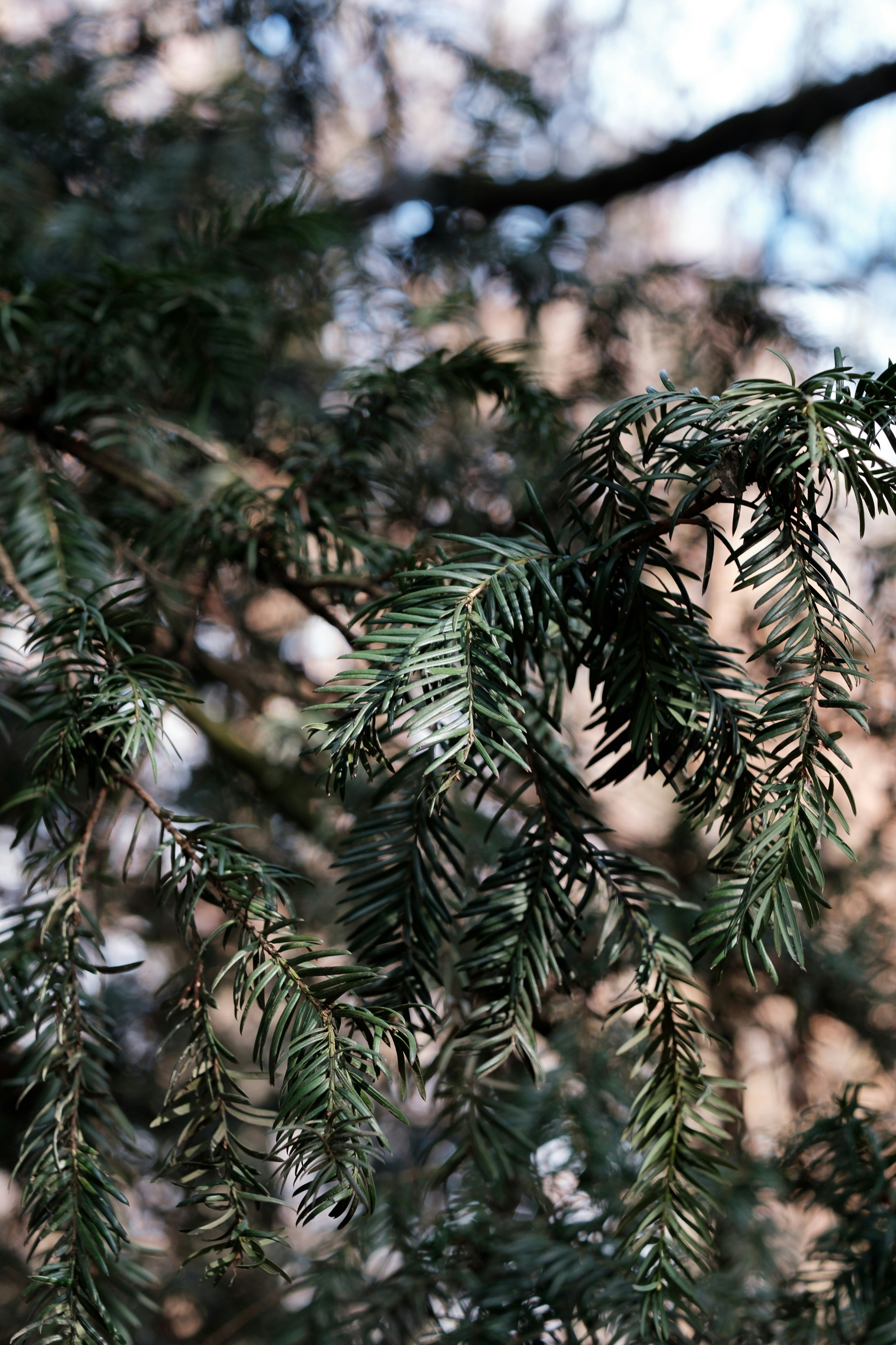 Photo by markuswinkler