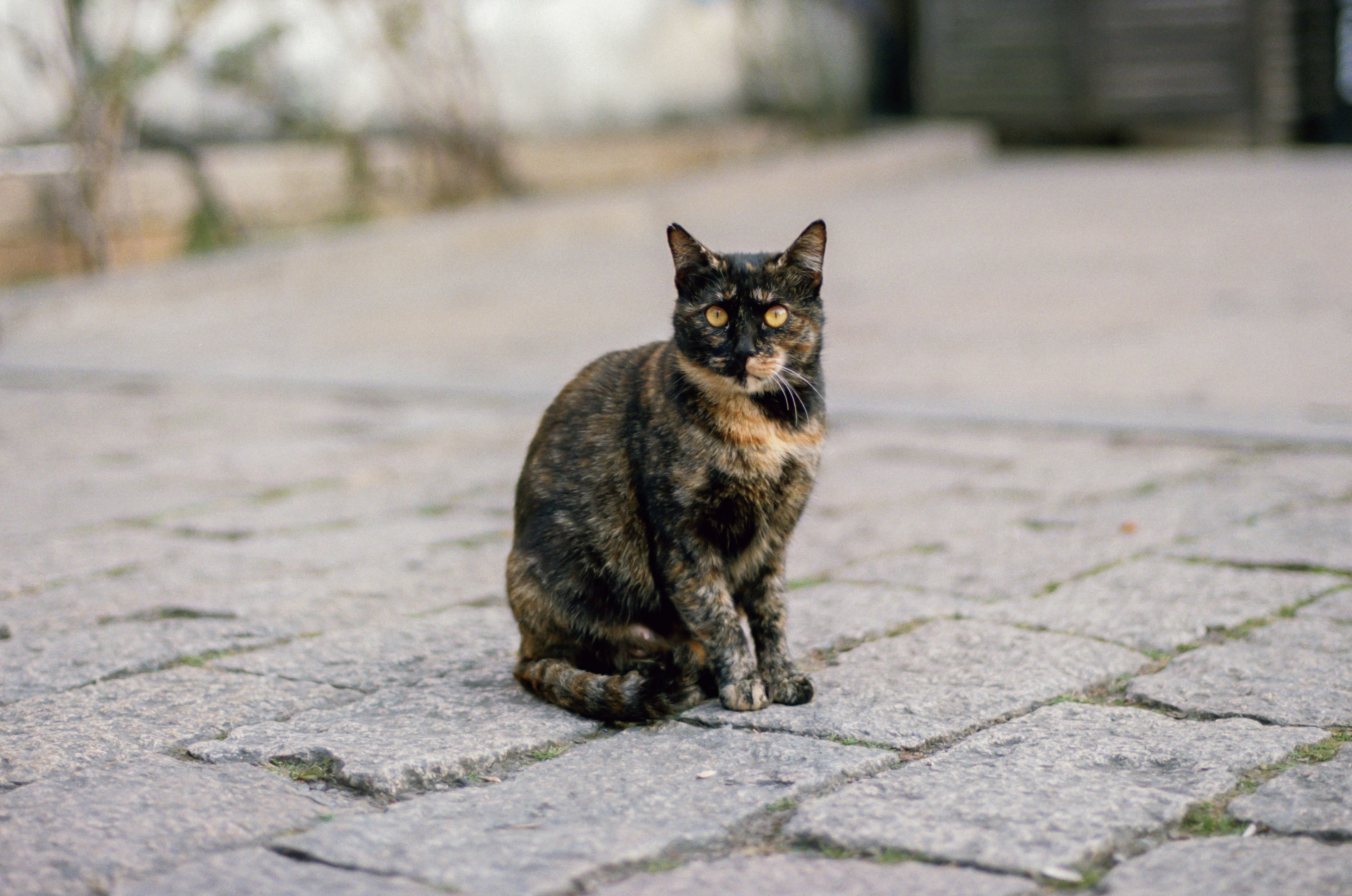 Photo by zhenyao_photo