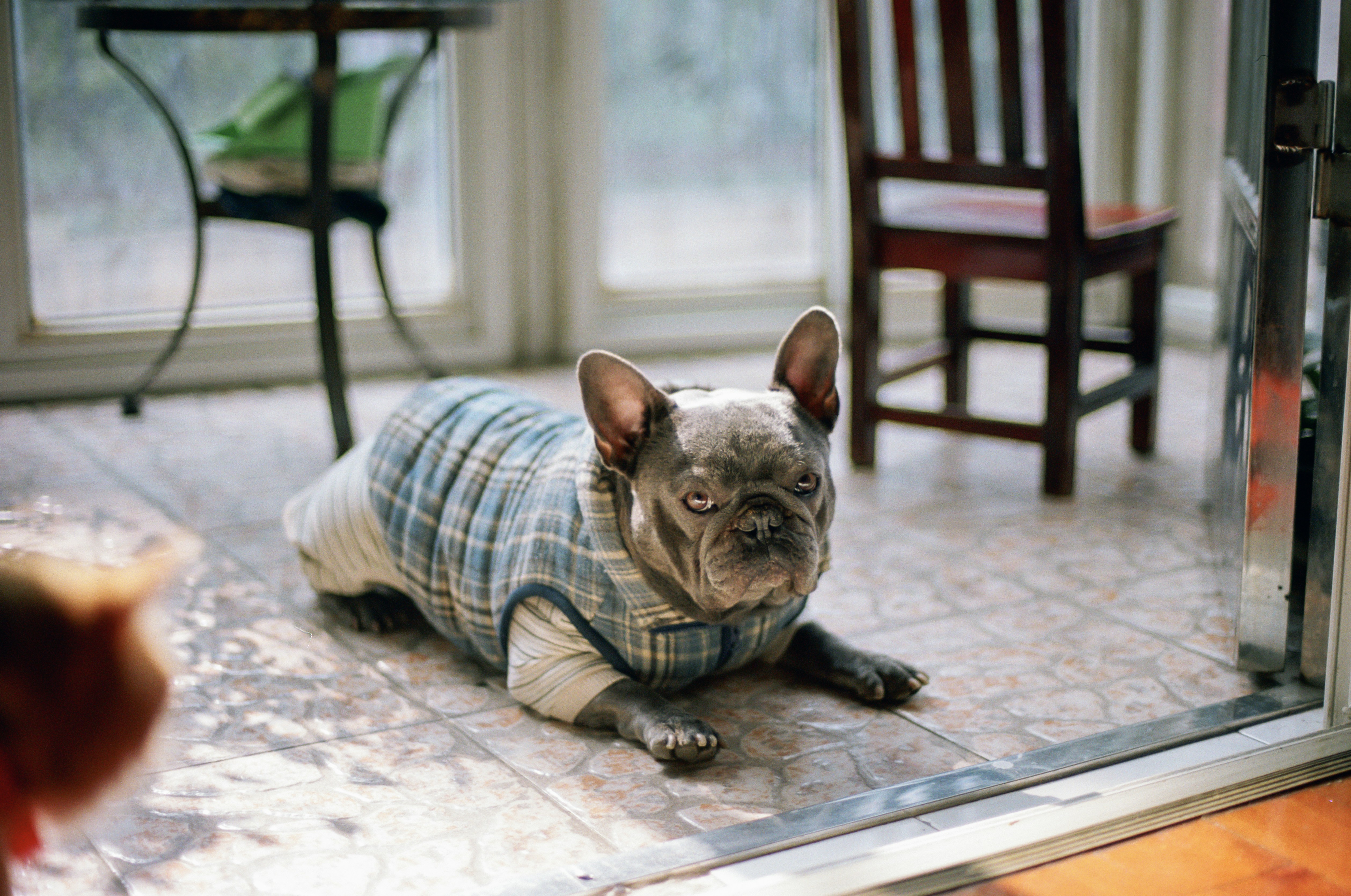 Photo by zhenyao_photo