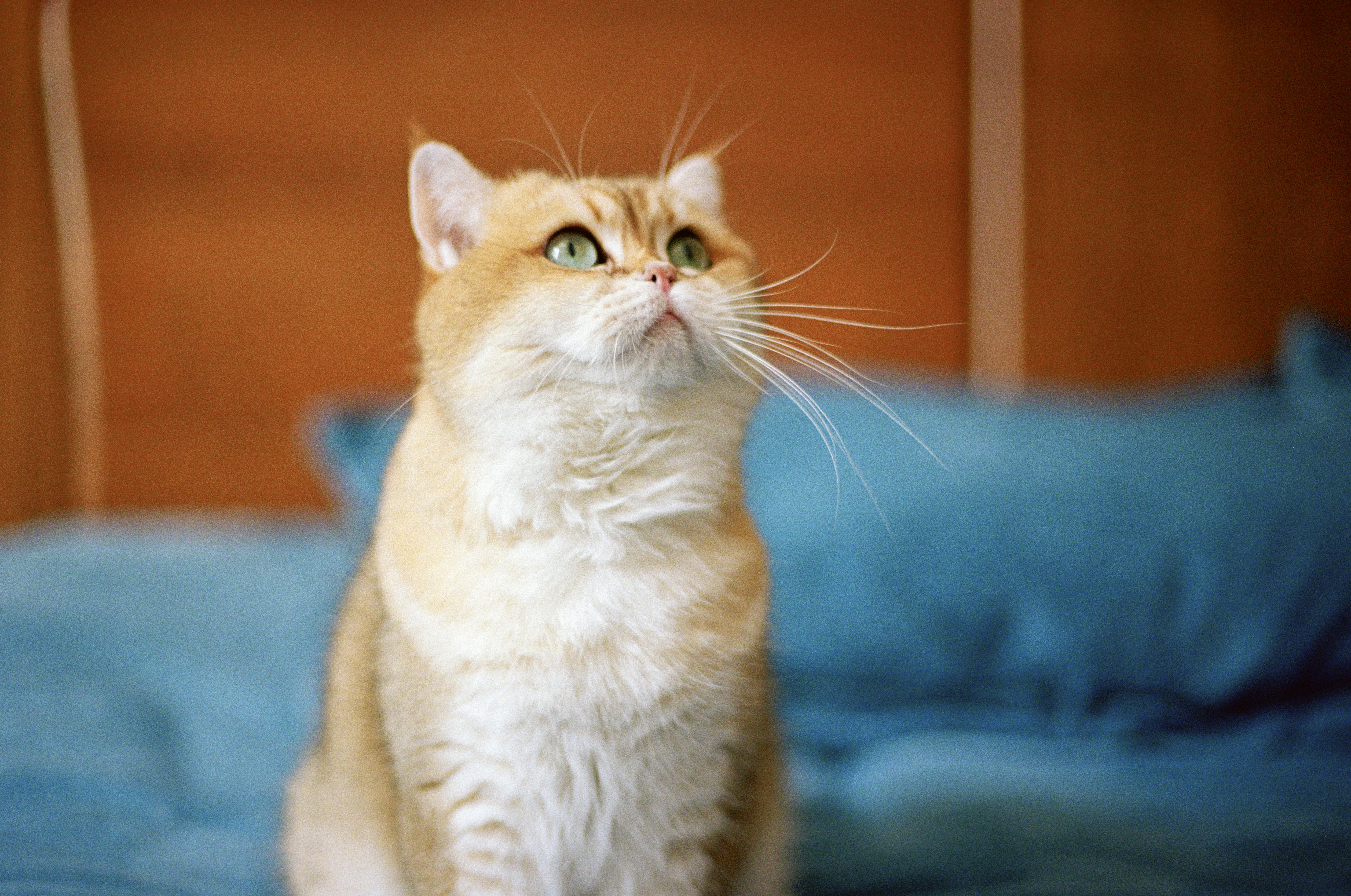 Photo by zhenyao_photo