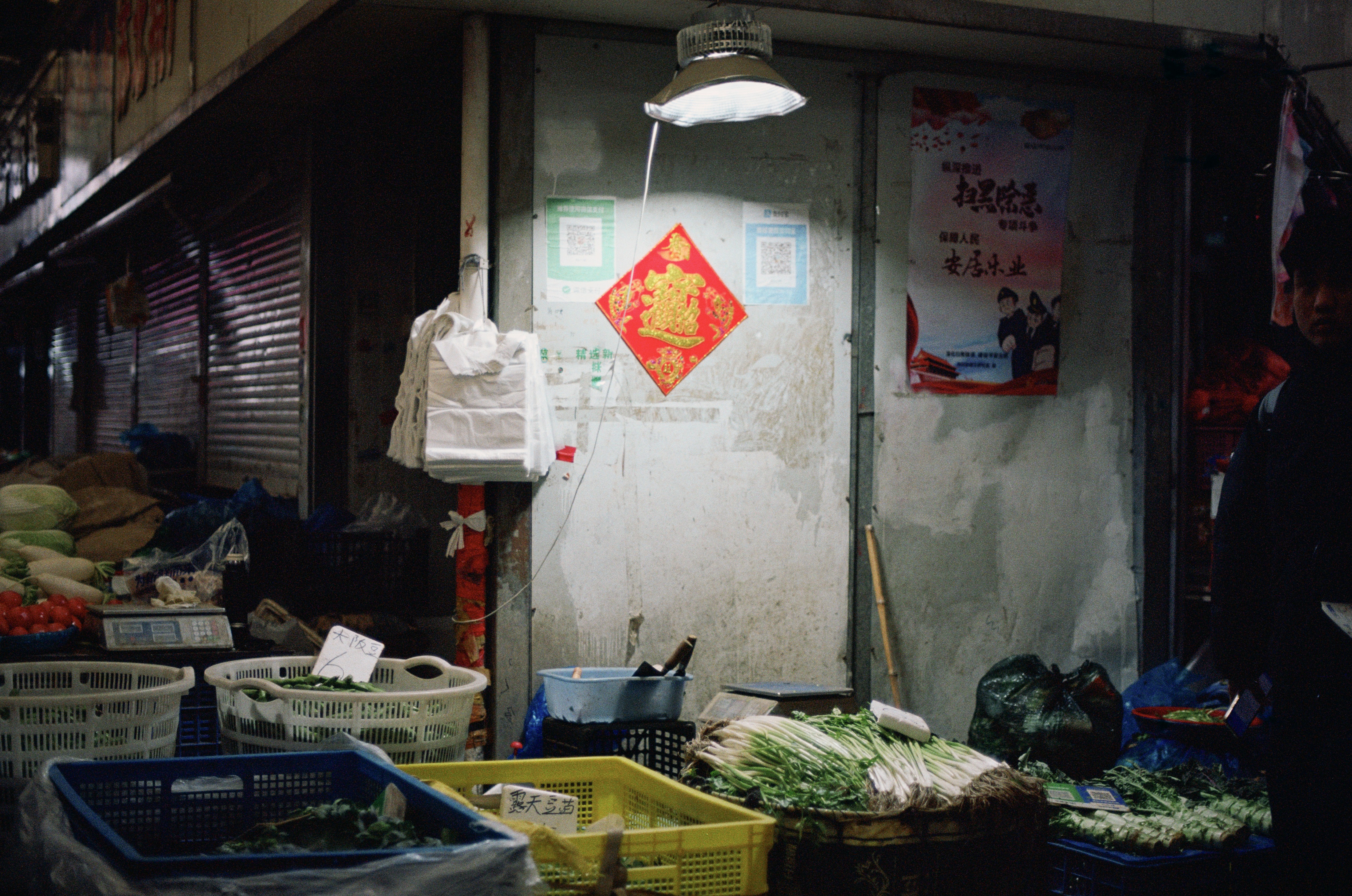 Photo by zhenyao_photo