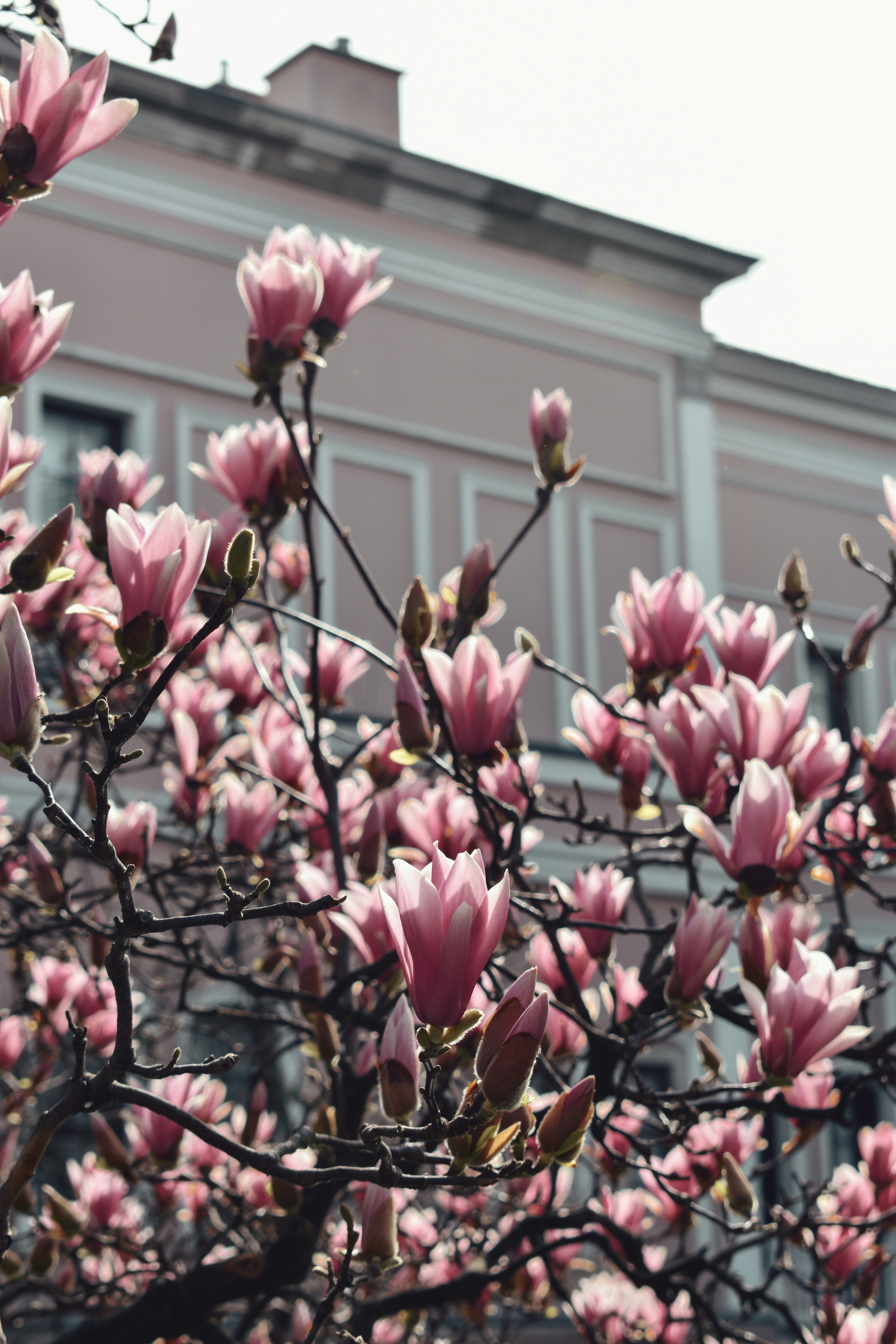 Photo by nisacokokumus