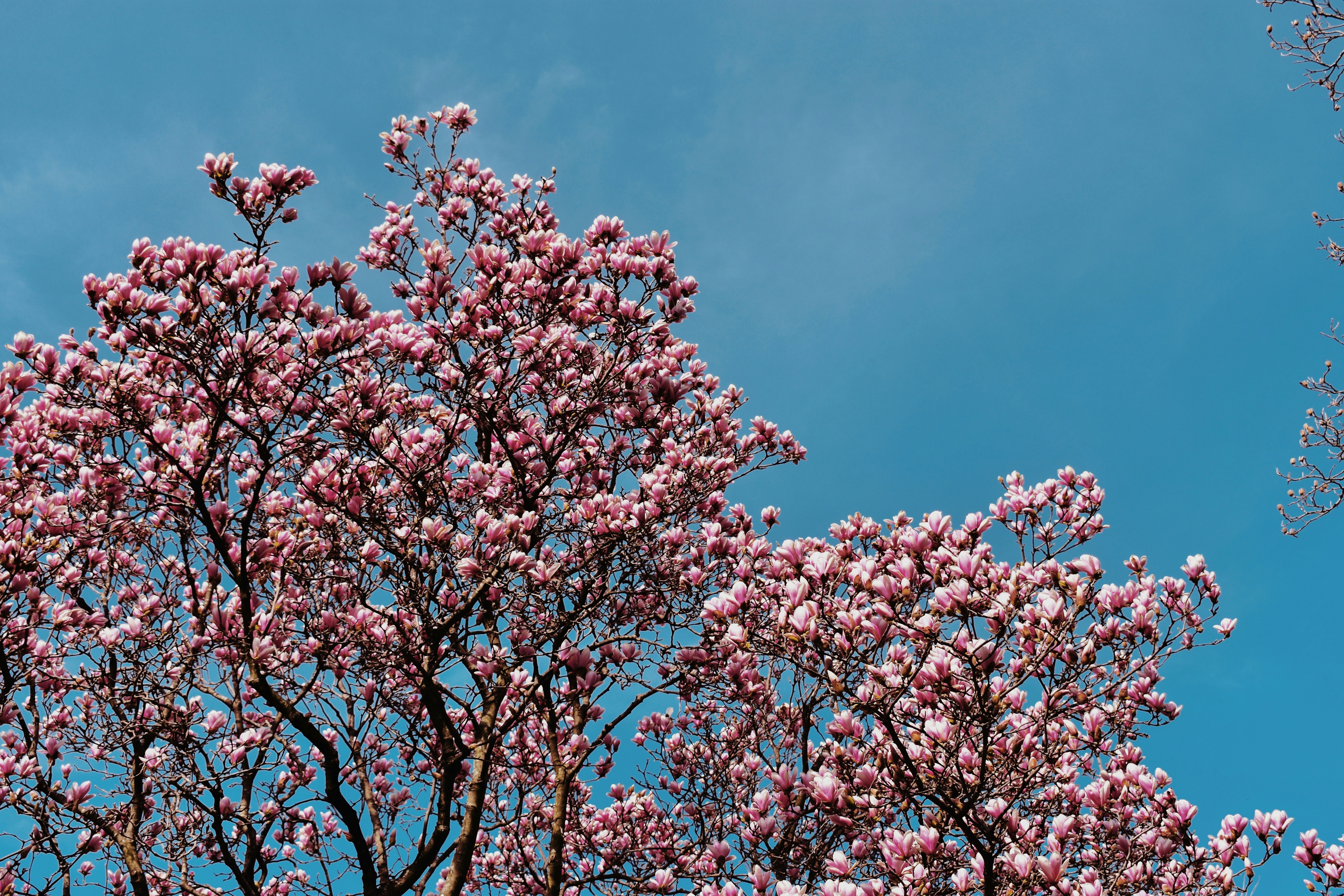 Photo by nisacokokumus