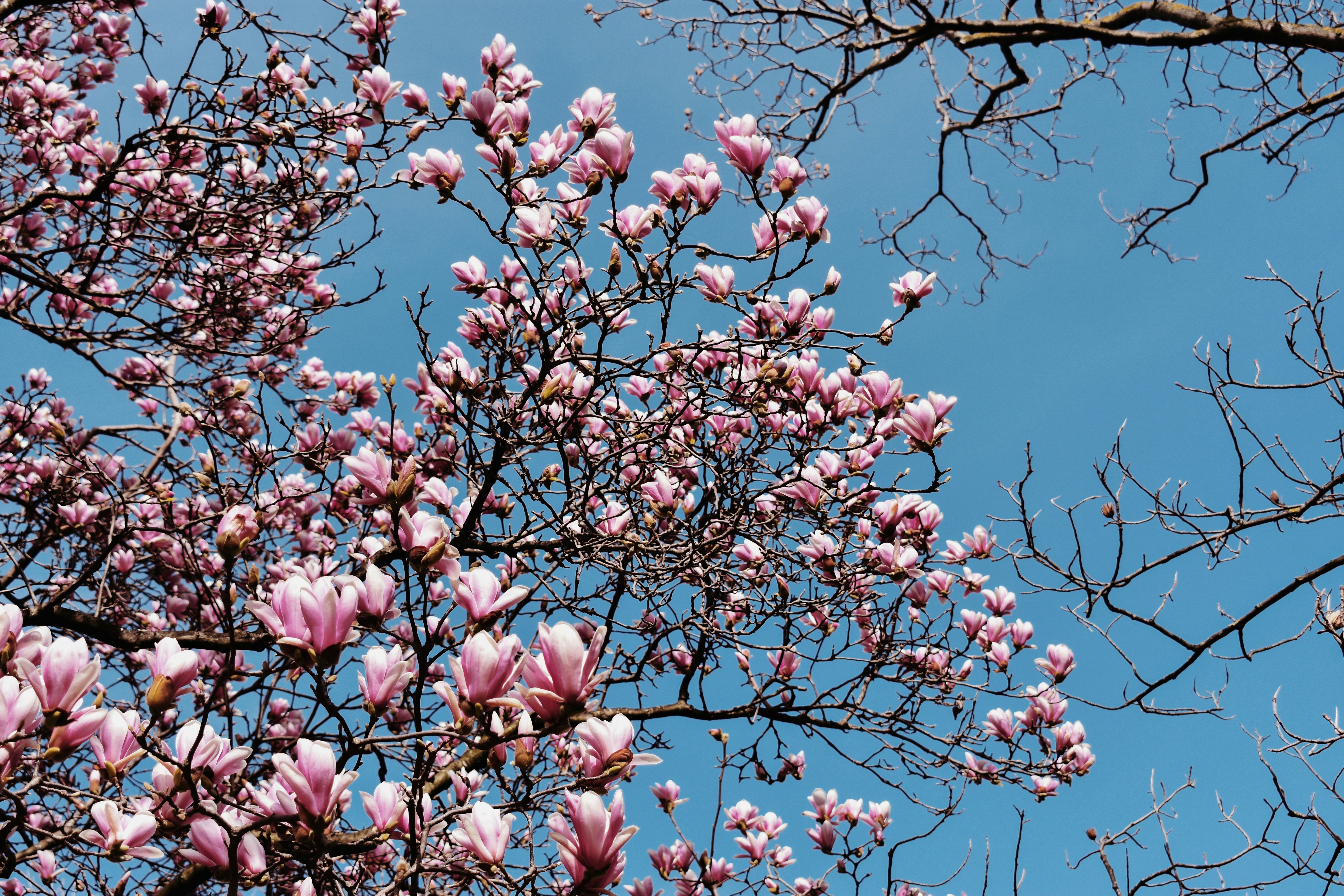 Photo by nisacokokumus