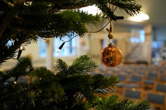 kalėdinio renginio organizavimas