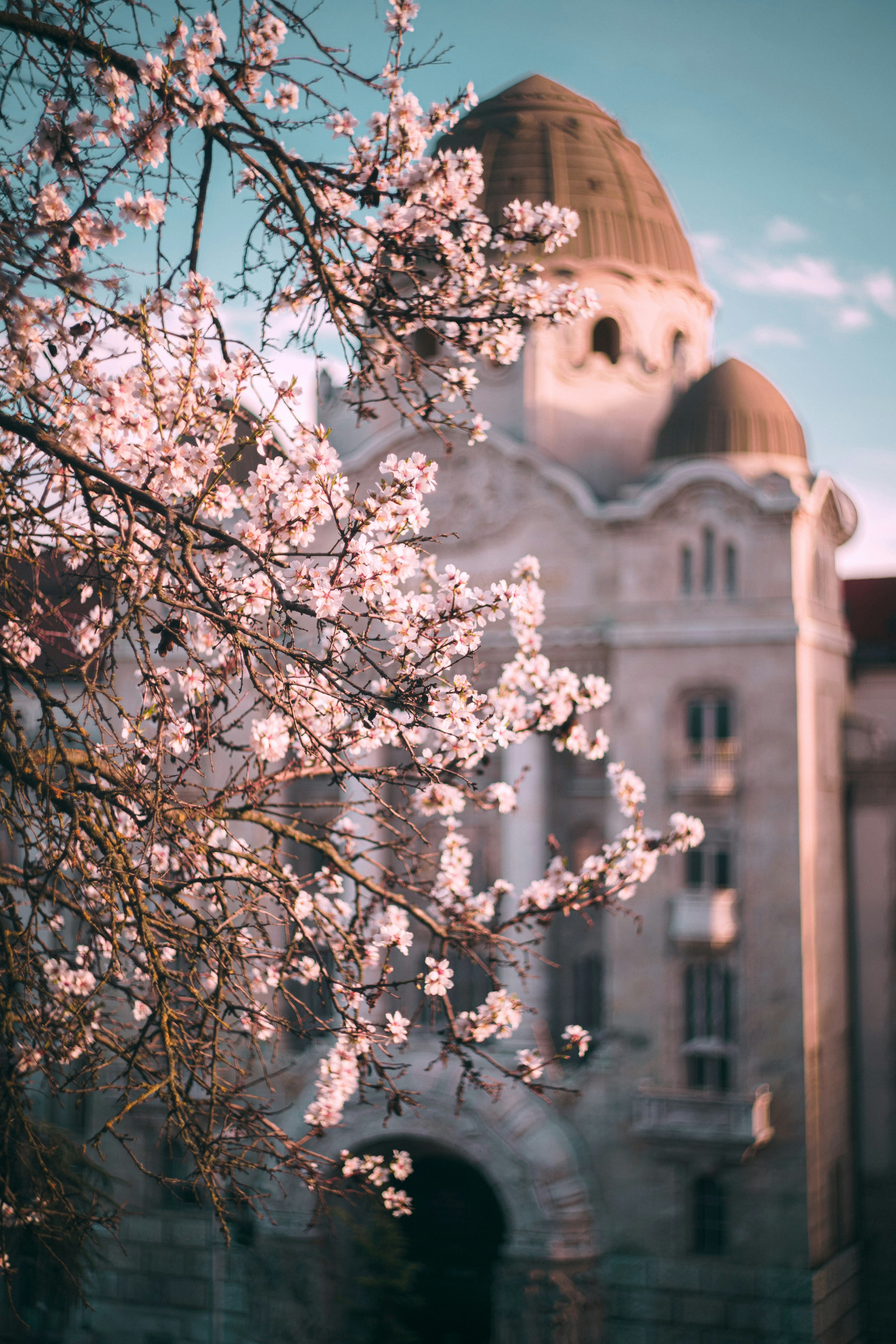 Photo by slie_design