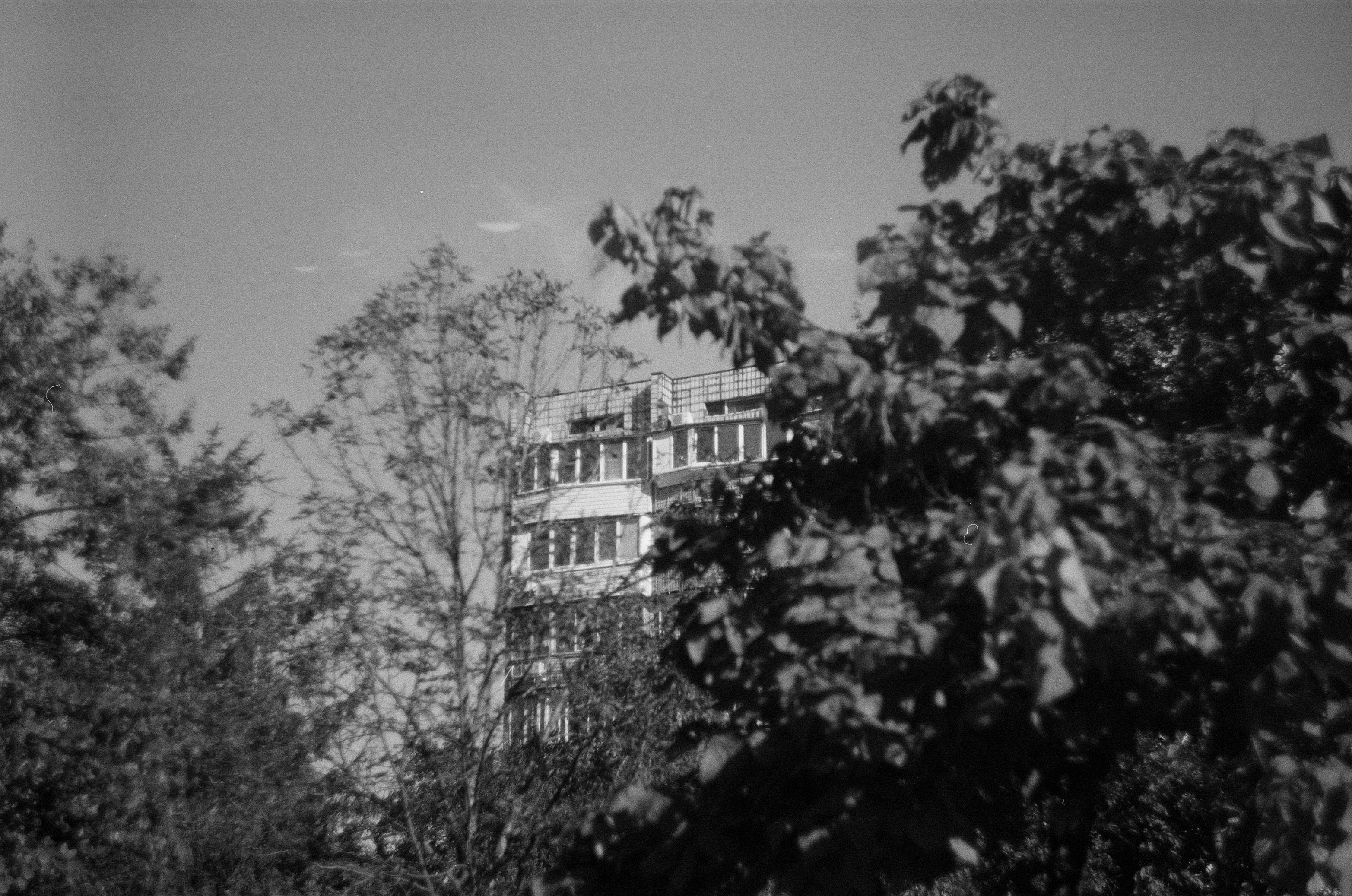 Photo by nikkoz_design